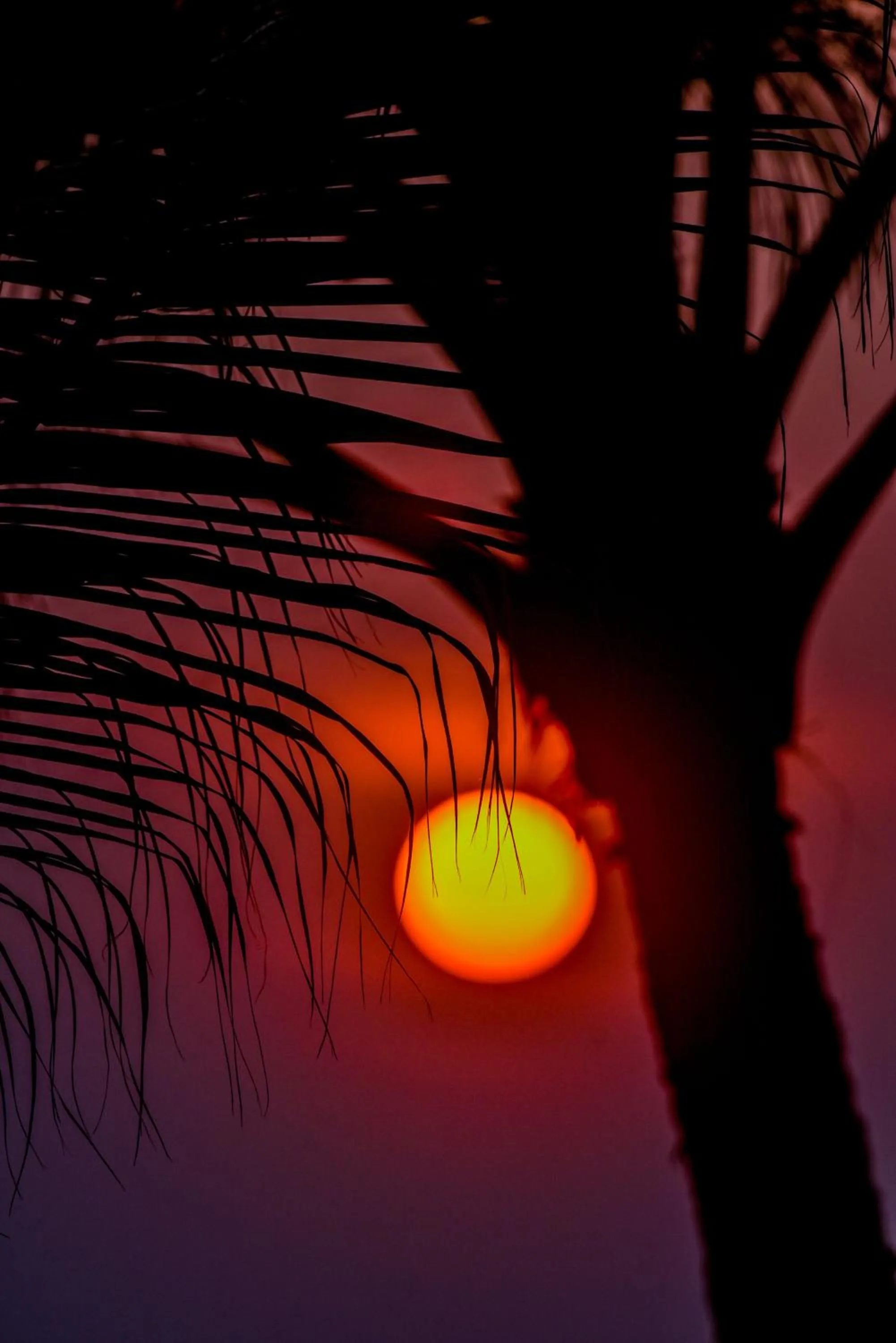 Sunset in Hikka Sands & SPA