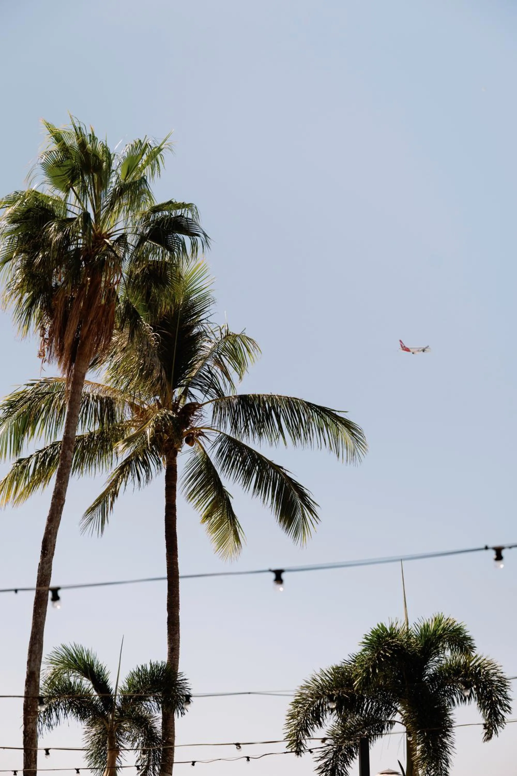 Restaurant/places to eat in Mangrove Hotel