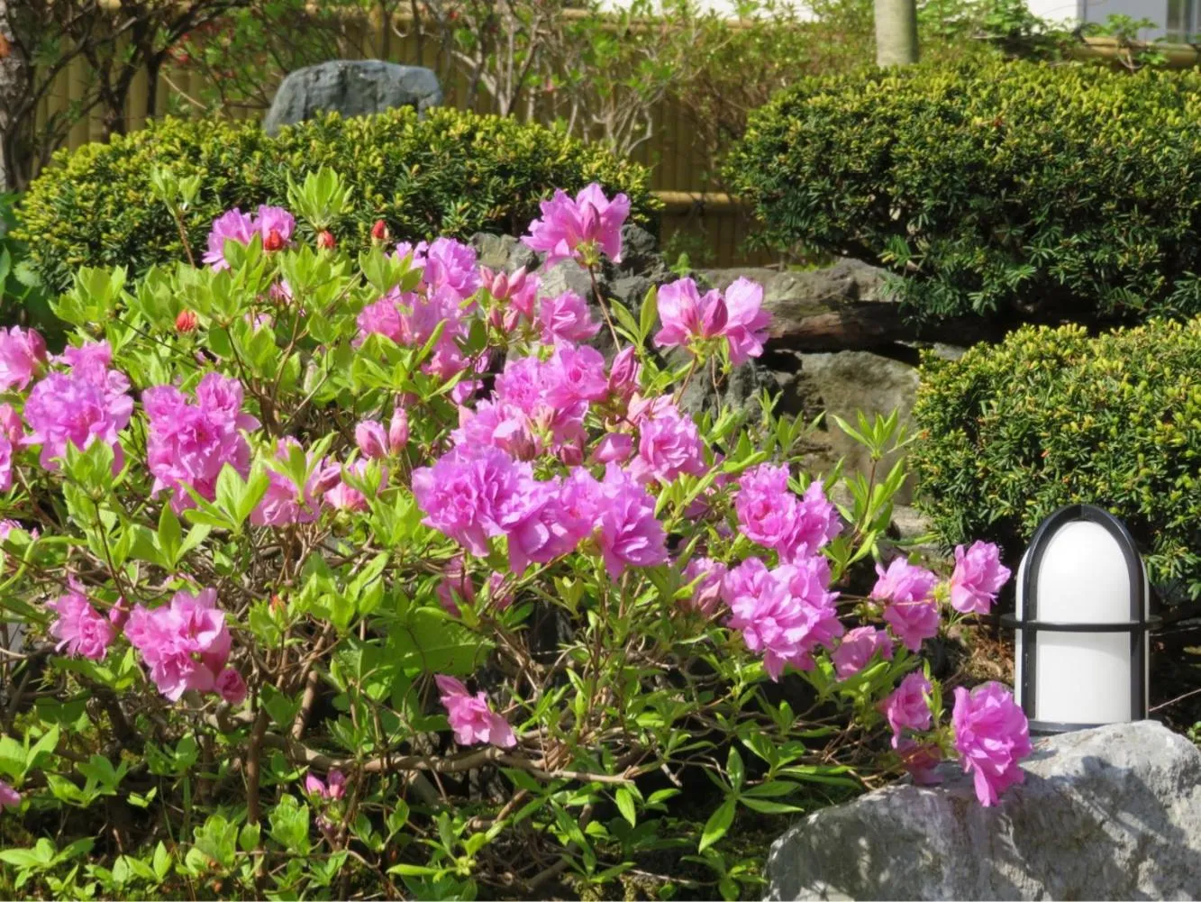 Spring in Kashoutei Hanaya