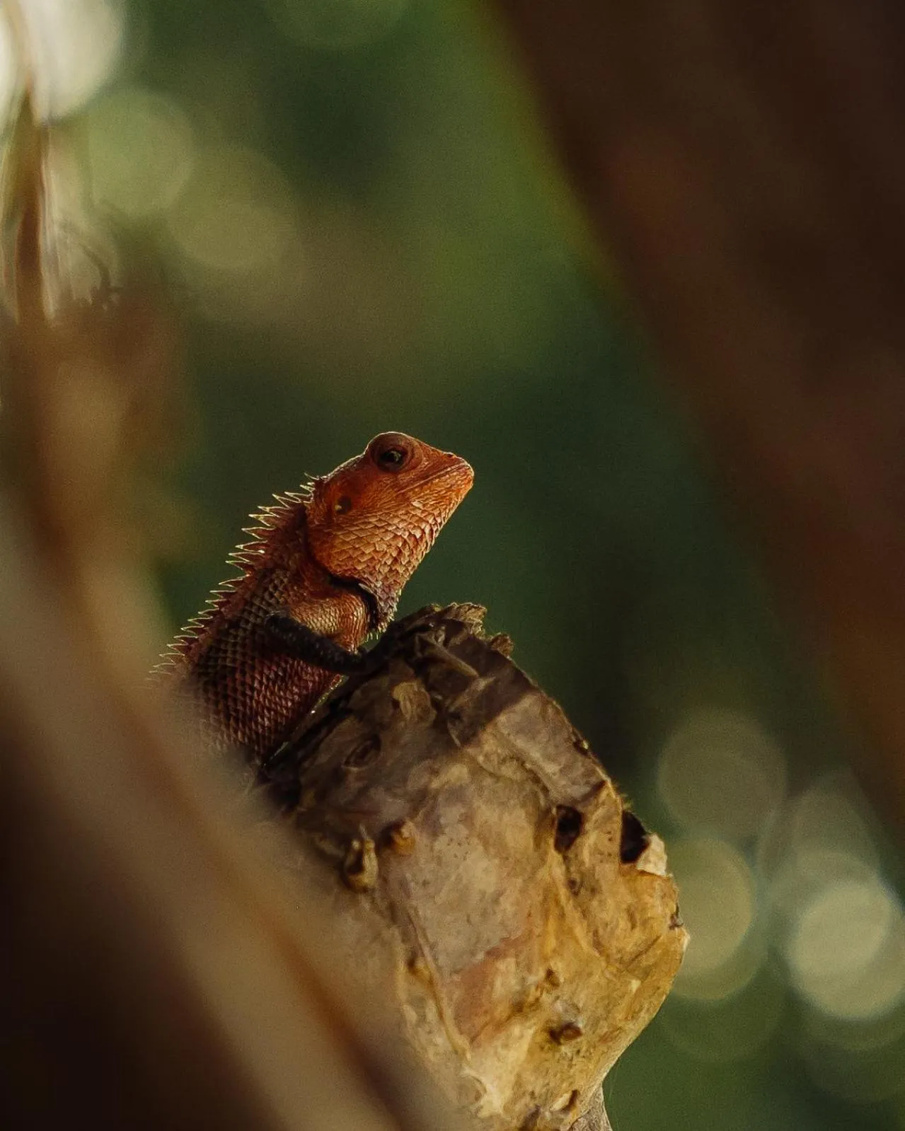 Natural landscape in Park Hyatt Maldives Hadahaa
