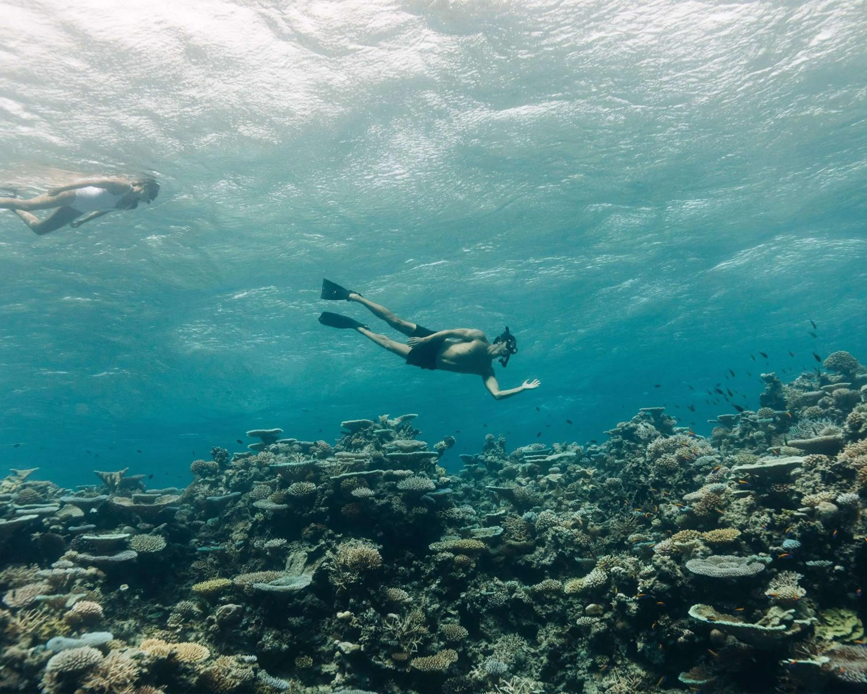 Location in Park Hyatt Maldives Hadahaa