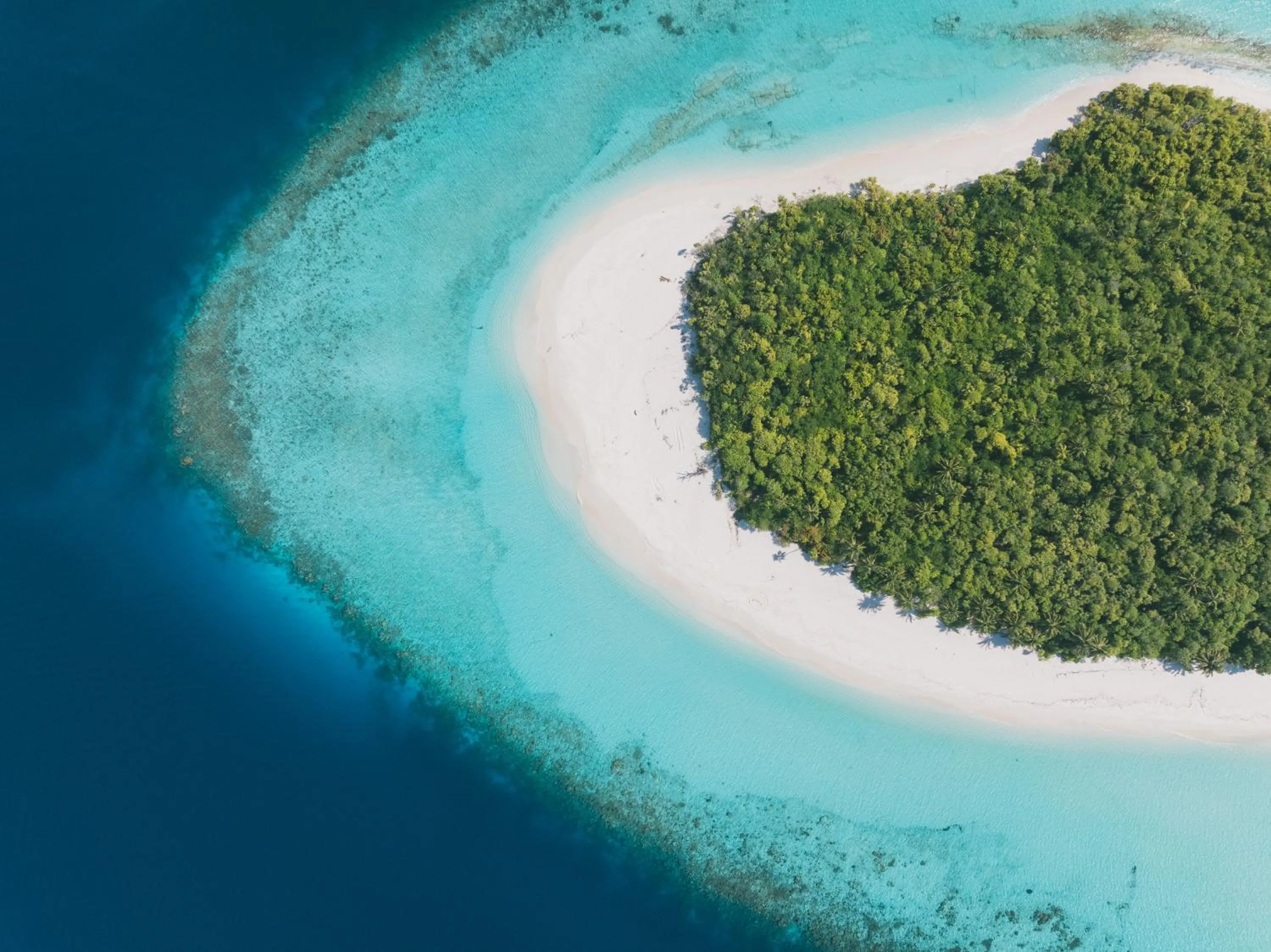 Natural landscape in Park Hyatt Maldives Hadahaa