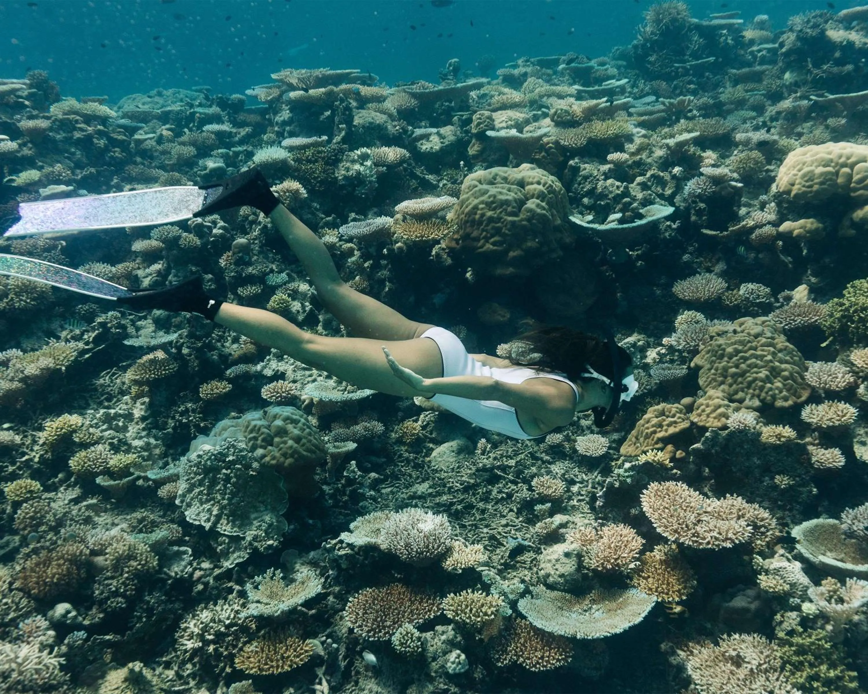 Location in Park Hyatt Maldives Hadahaa