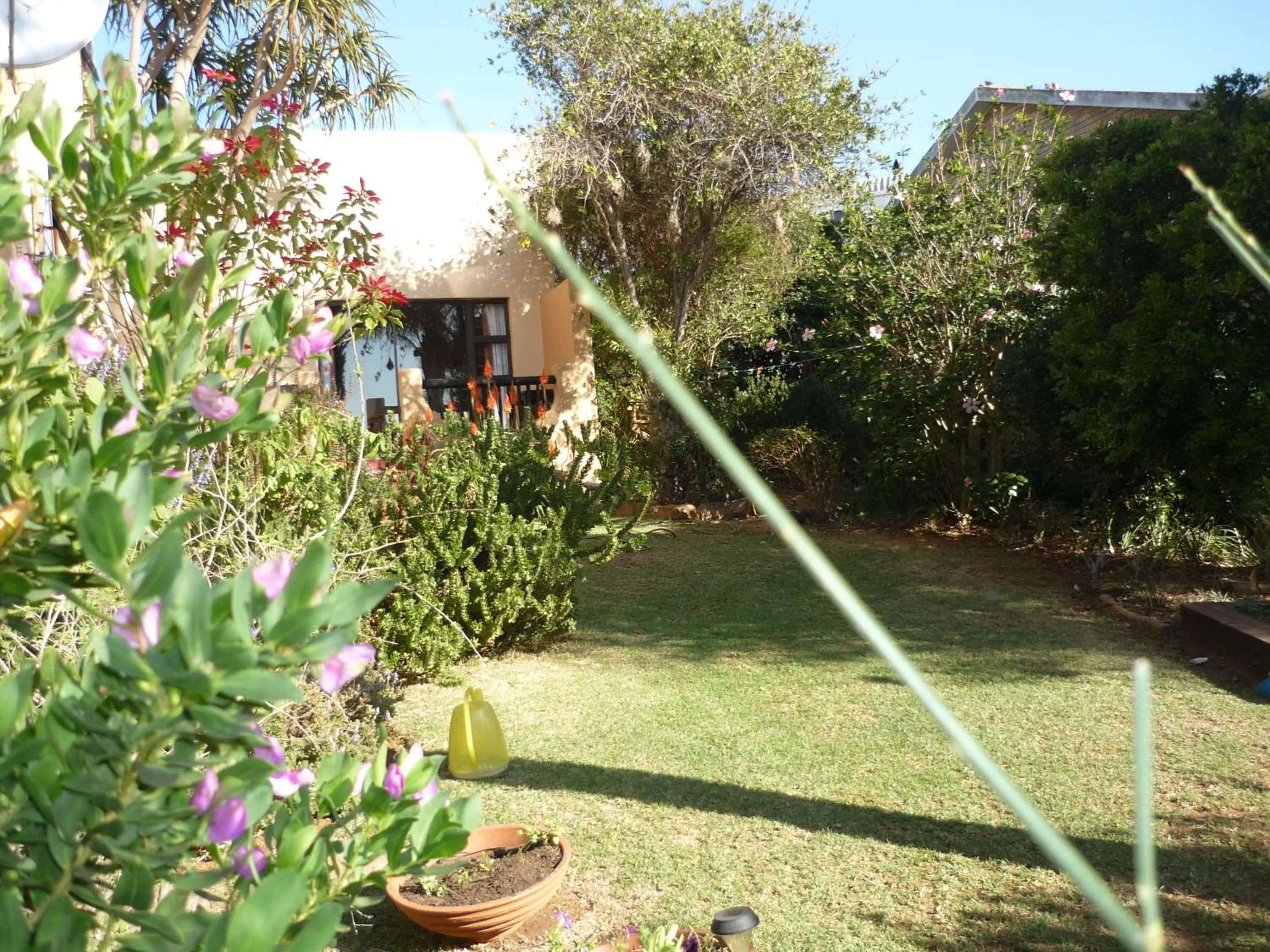 On site in A1 Kynaston Guest House bed and breakfast or self catering