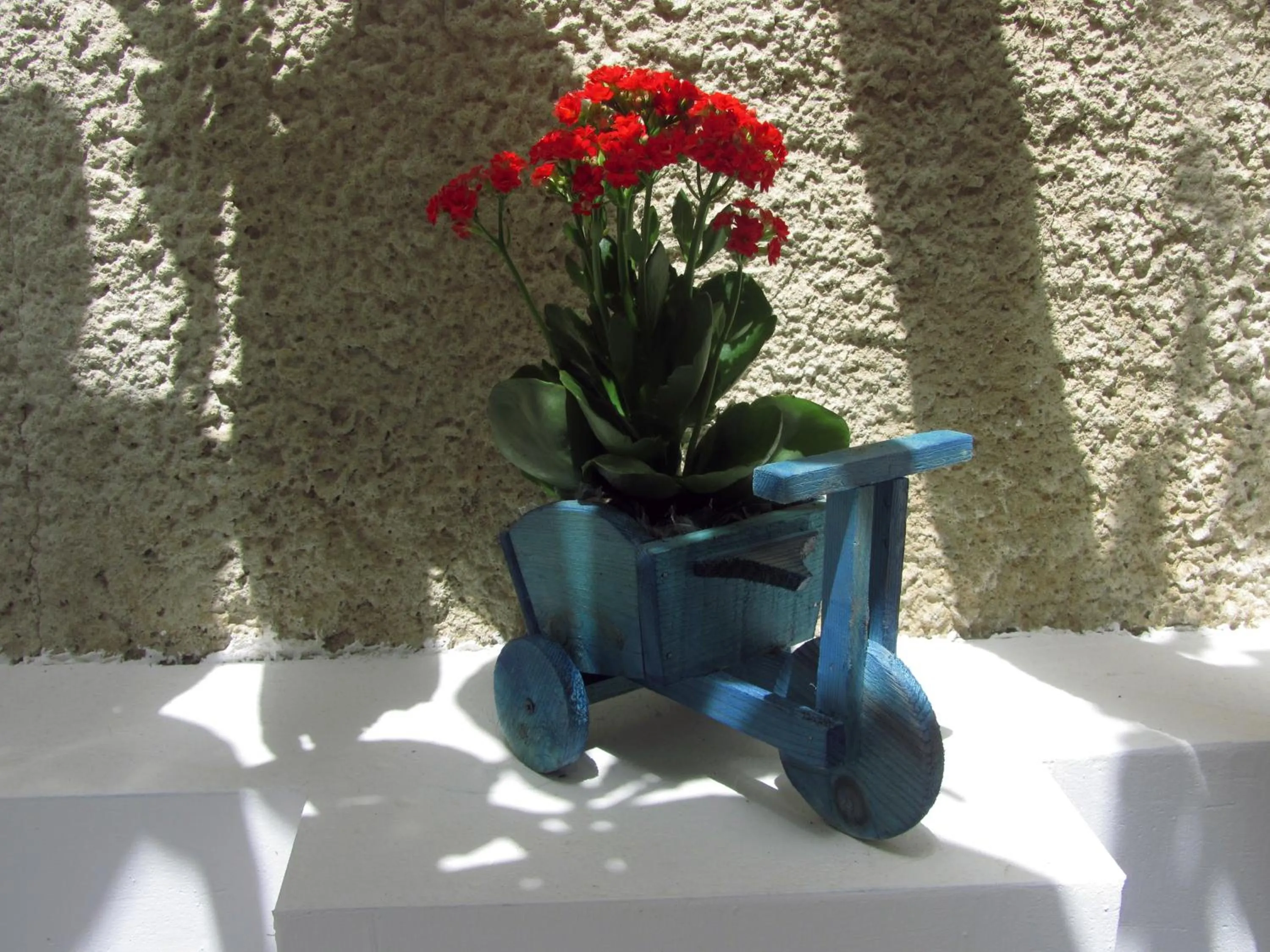 Property building in Petra Hotel