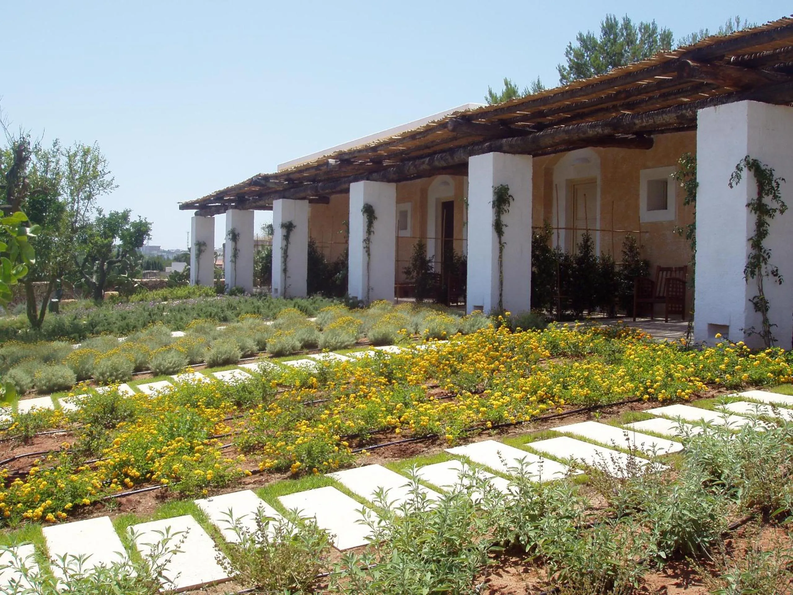 Garden in Masseria L'Antico Frantoio