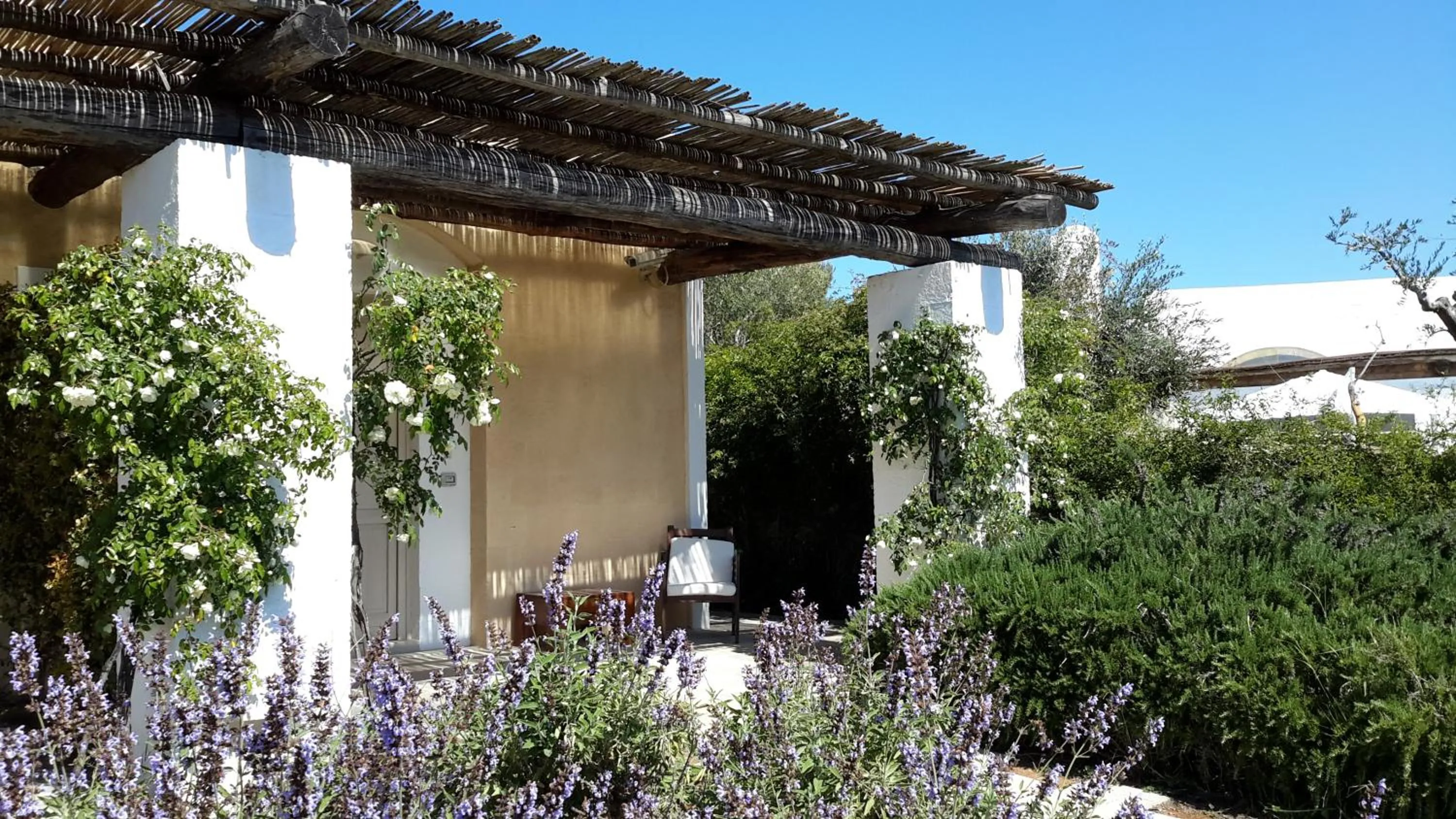 Garden view in Masseria L'Antico Frantoio