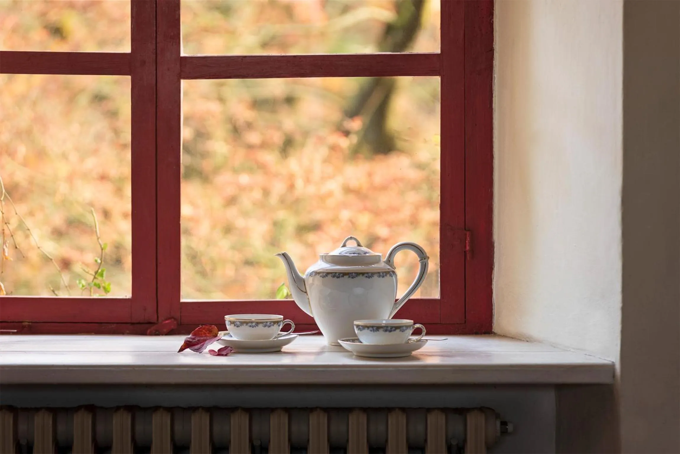 Castello Di San Sebastiano Po