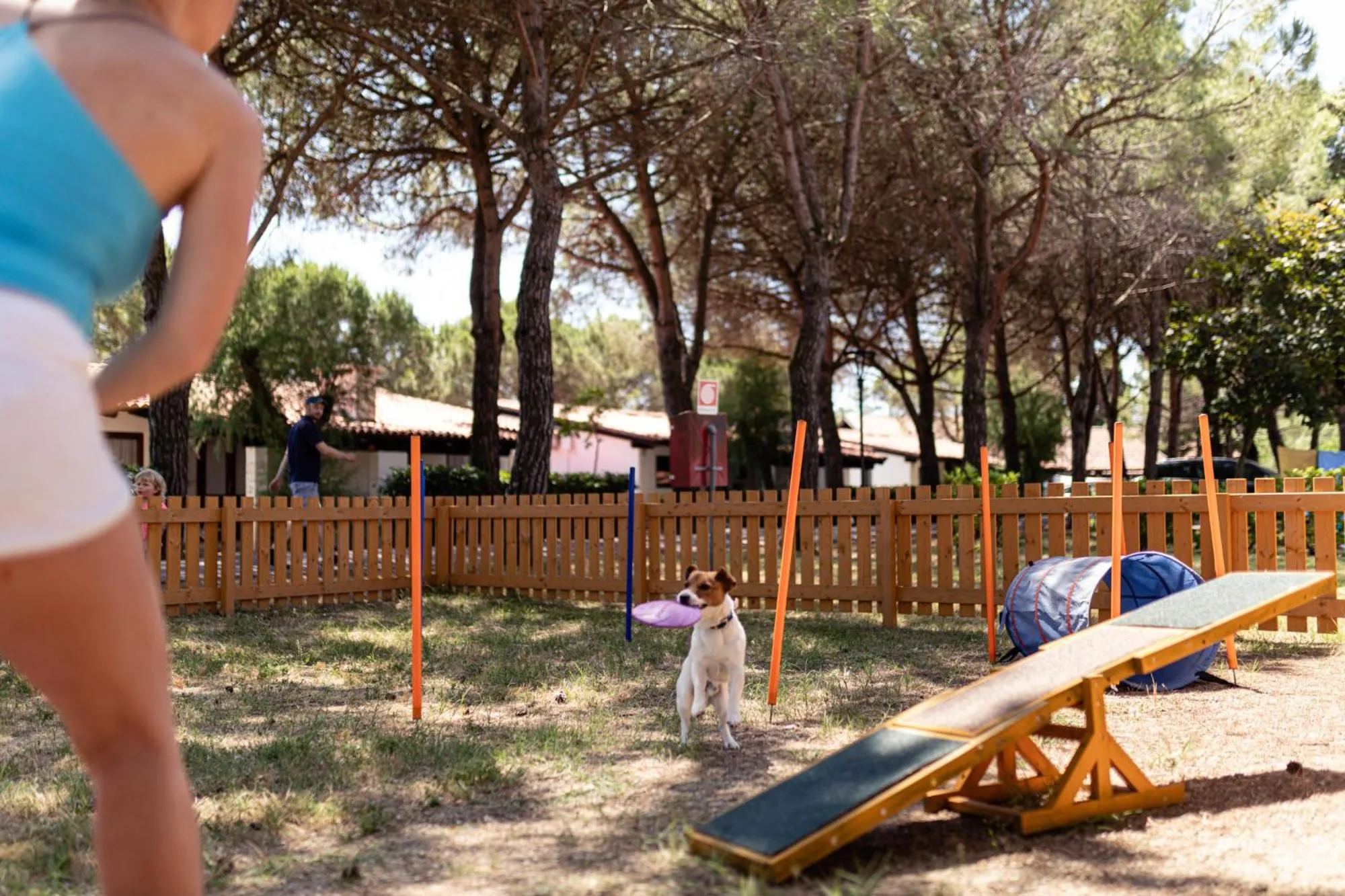 pet friendly in Residence Punta Spin