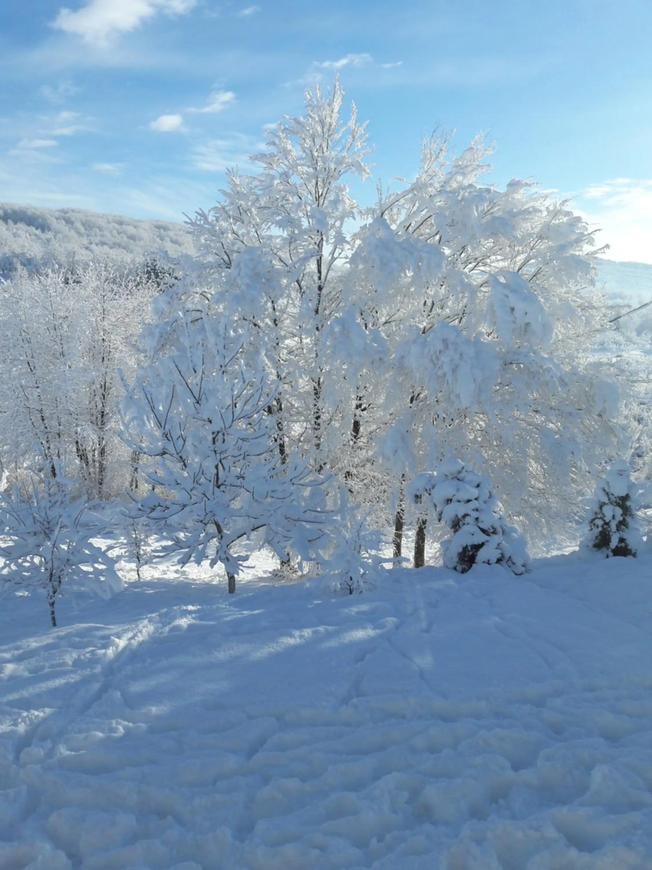 Winter in House Josipa