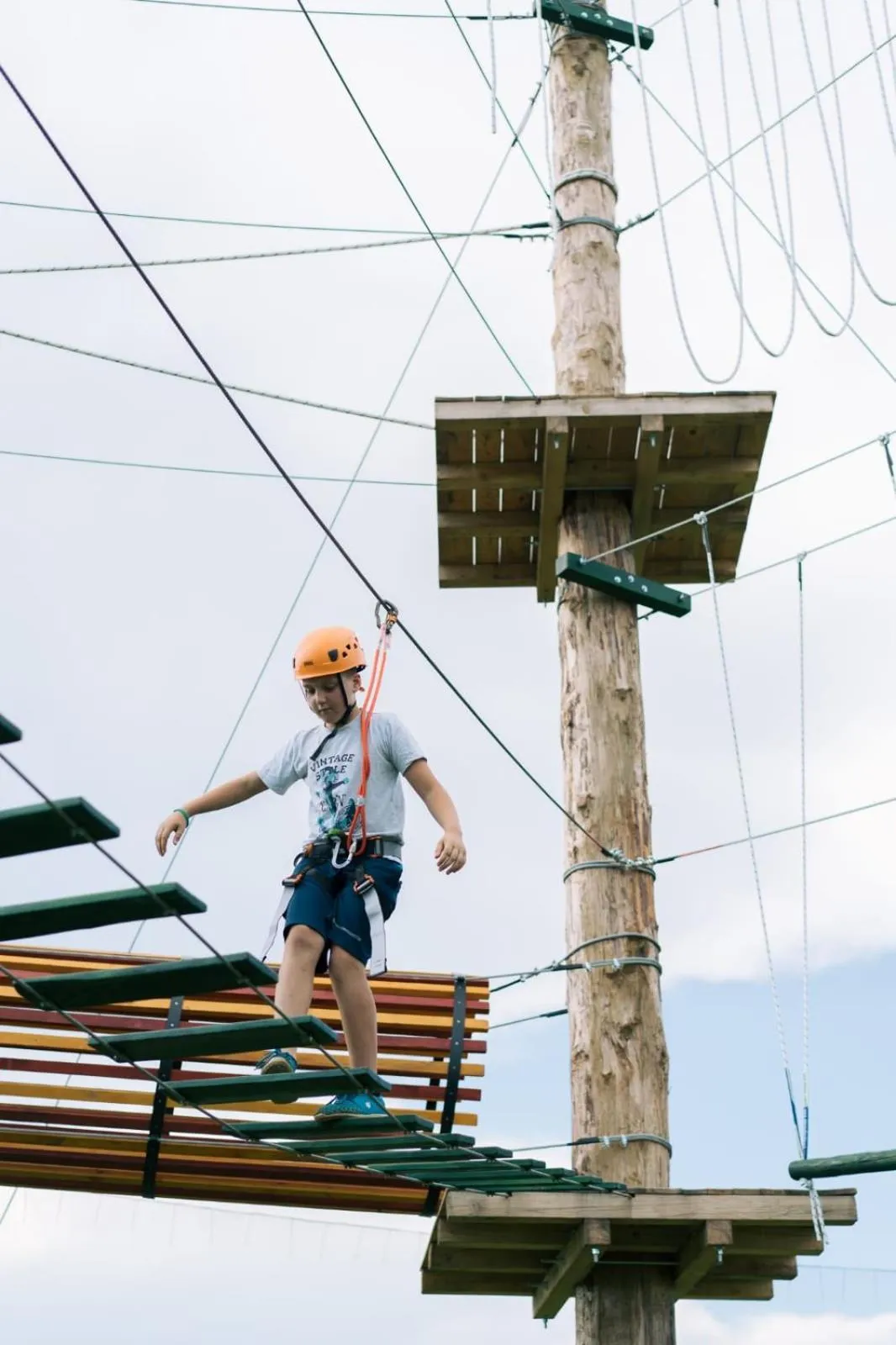 Activities in House Josipa