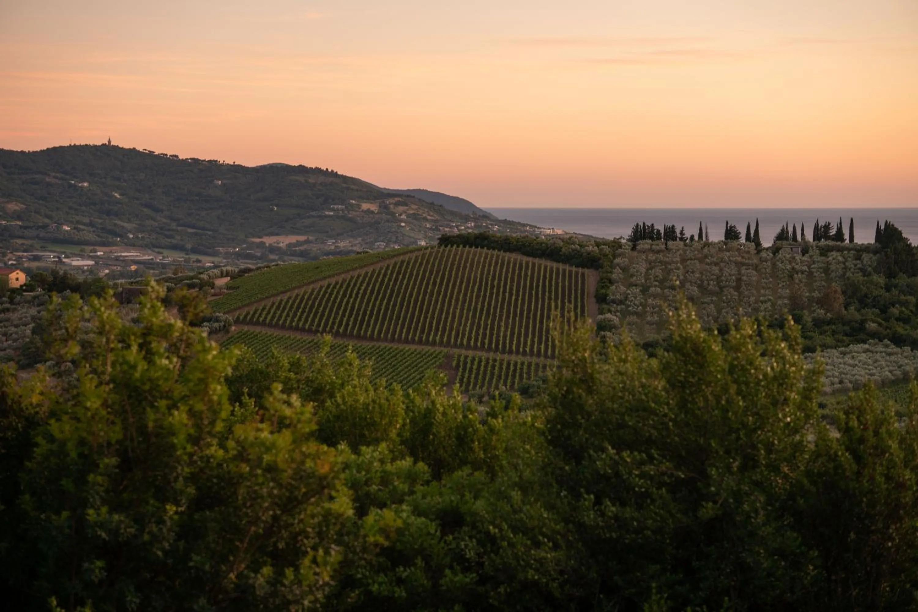 Nearby landmark in il cannito