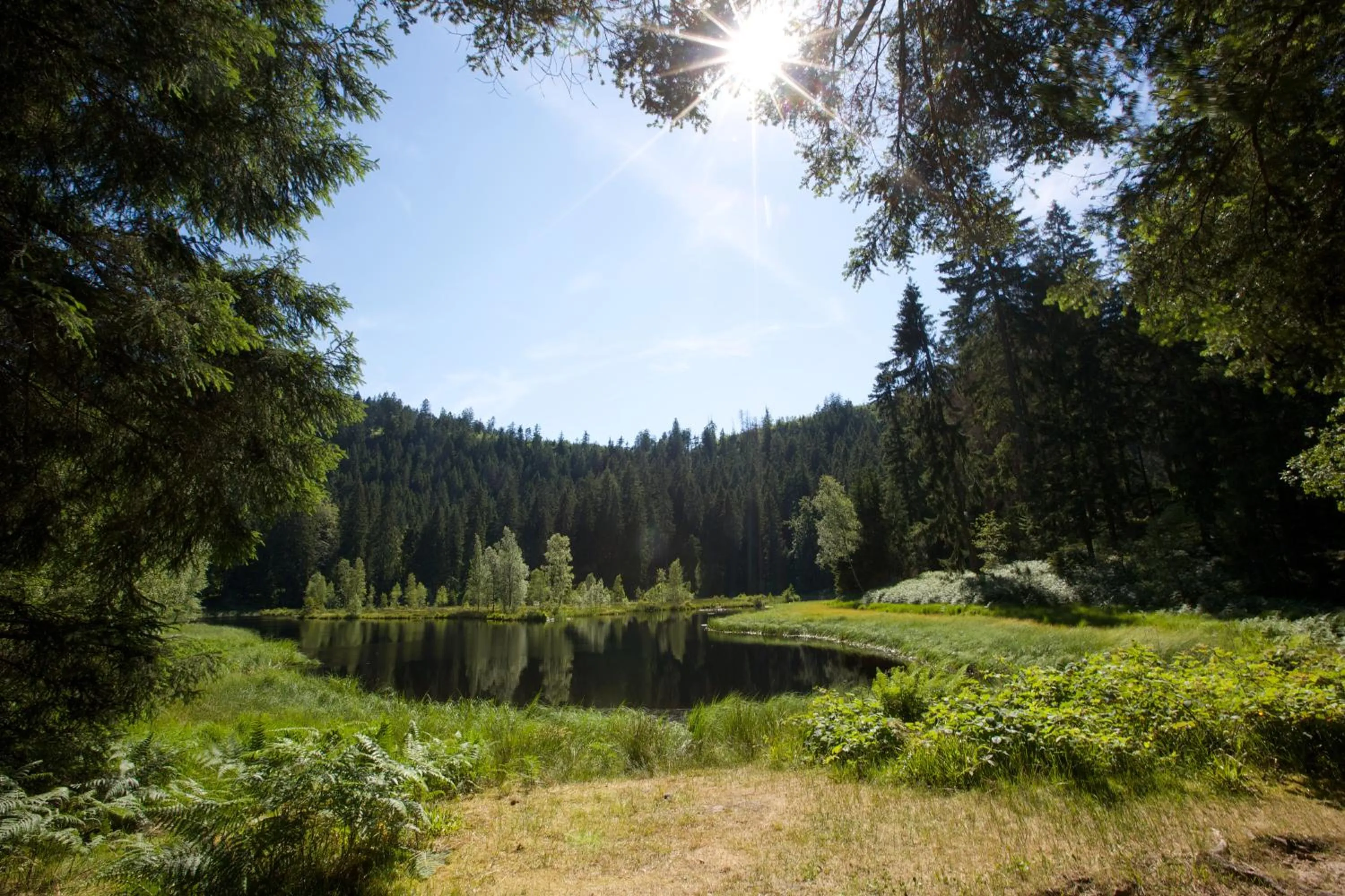 Hiking in Wellness & Genuss Resort - Engel Obertal