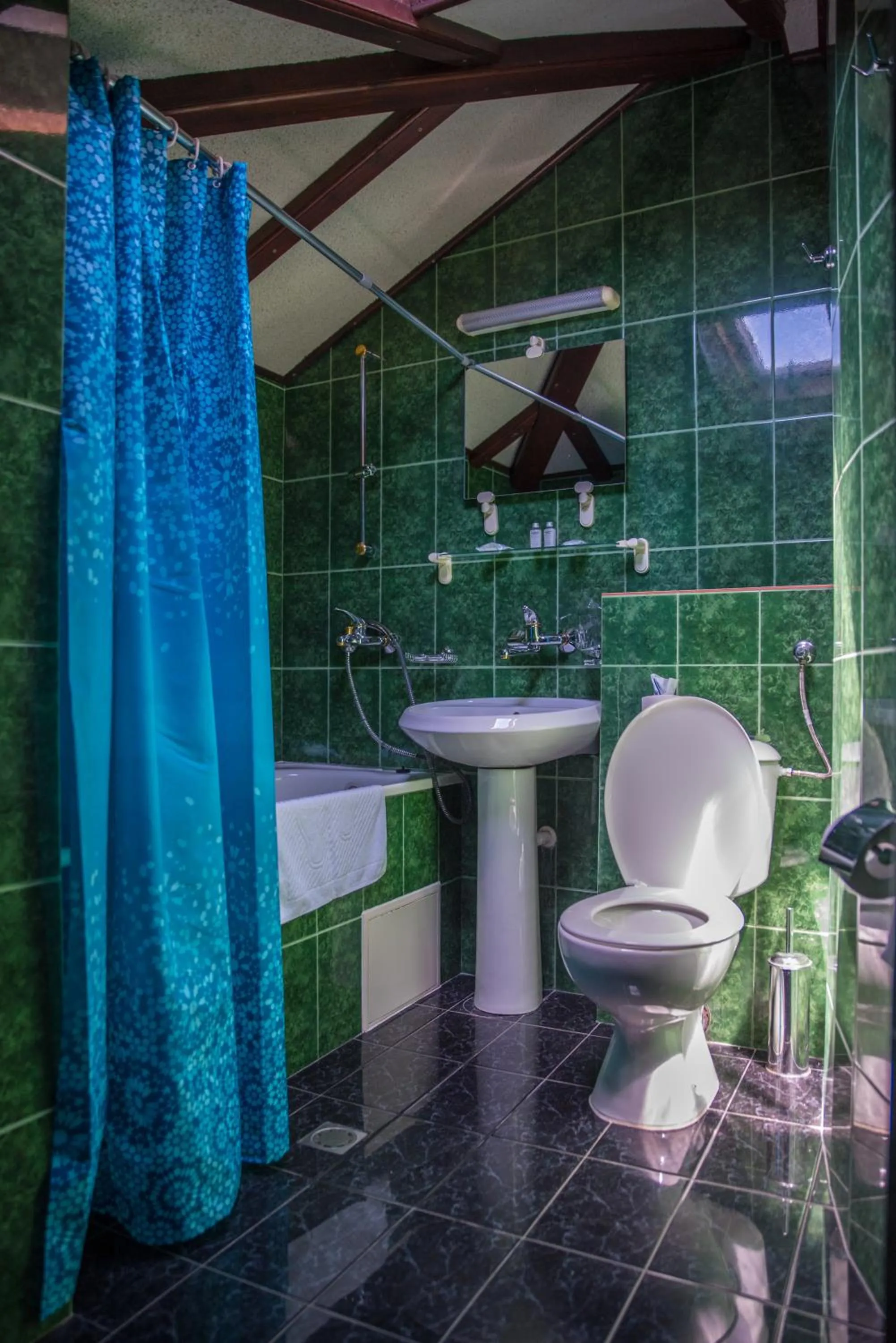 Toilet in Victoria Hotel Nessebar