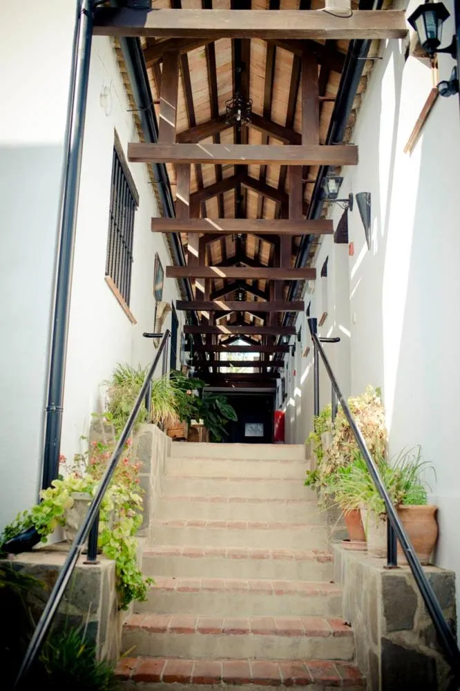 Decorative detail in Hotel Enrique Calvillo