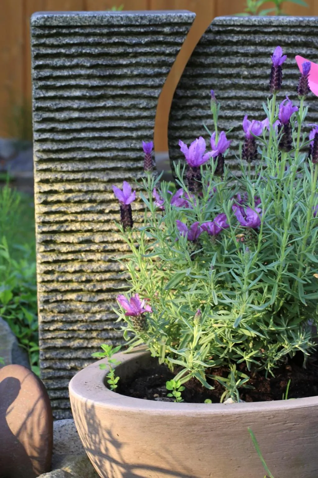 Garden in PIEPers Hotel Garni