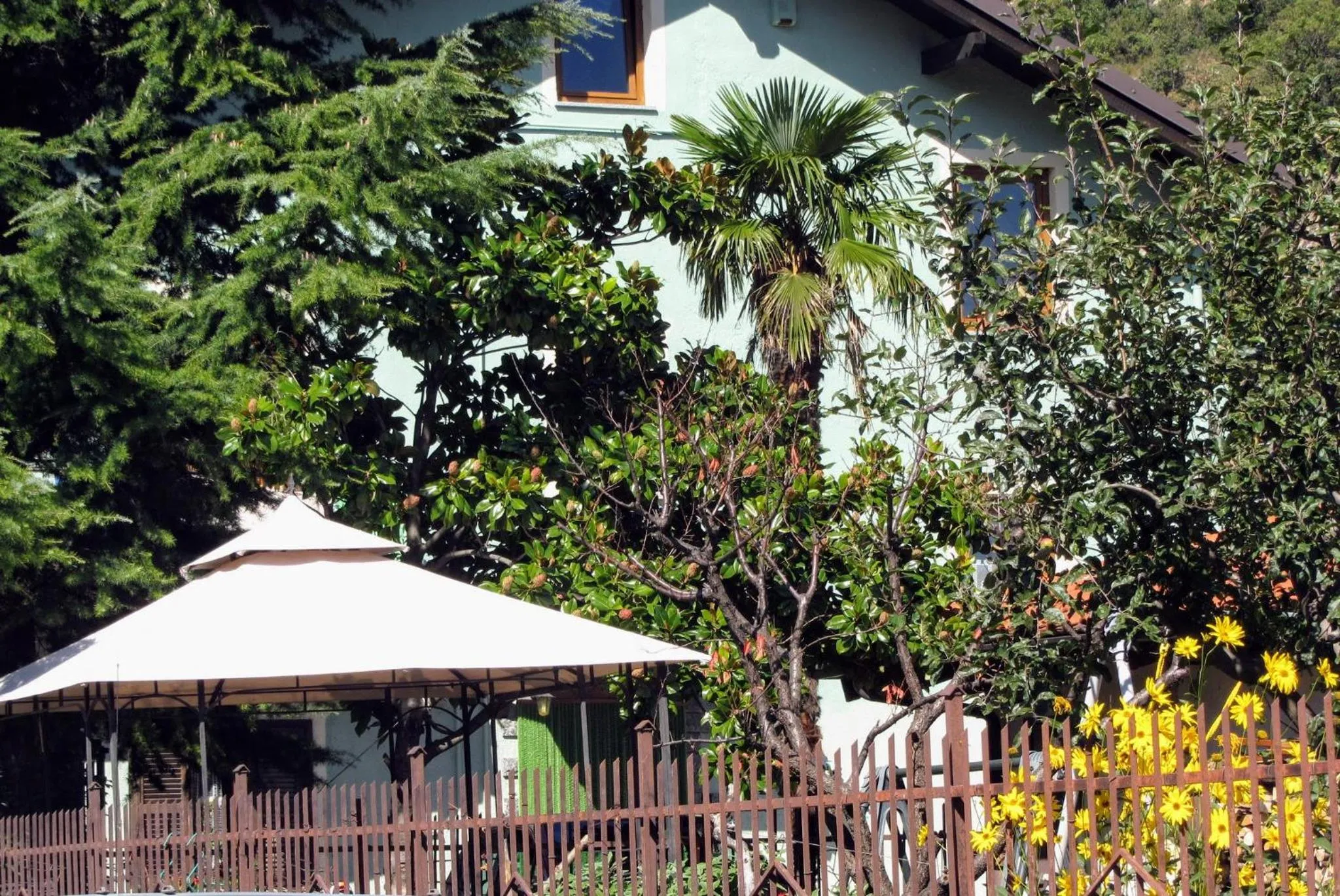 Patio in B&B Rocciamelone