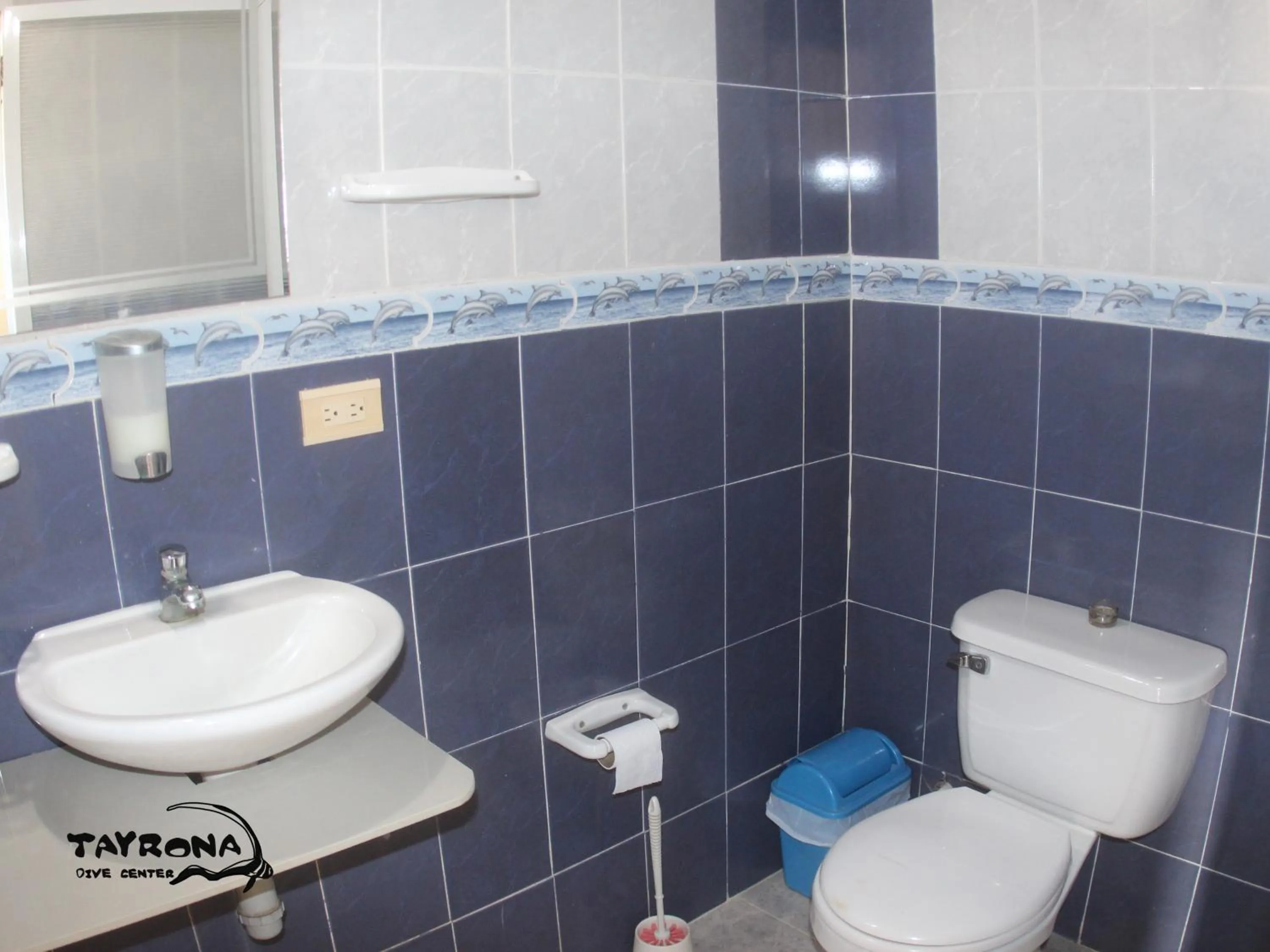 Double or Twin Room - single occupancy in Tayrona Dive Center