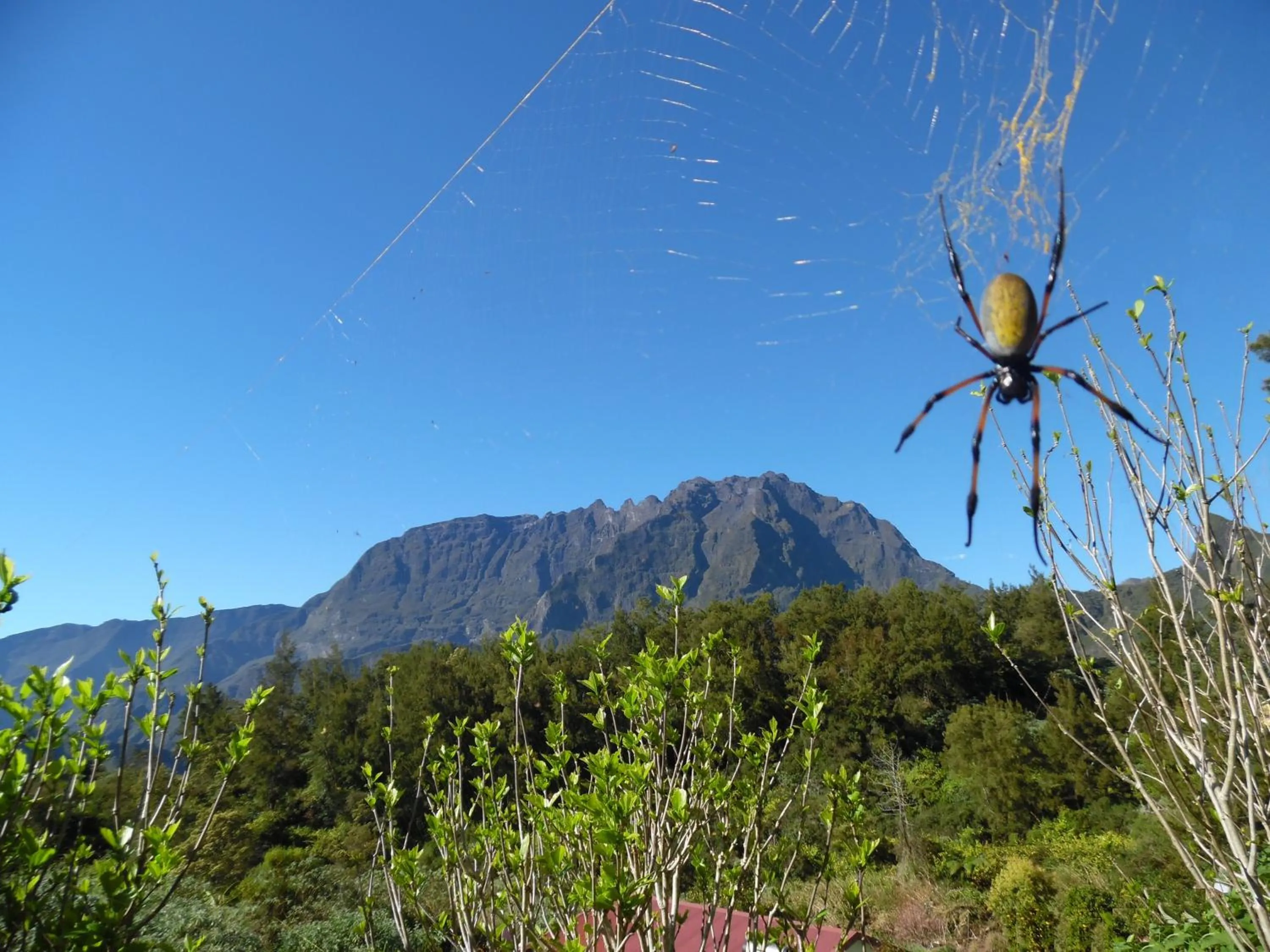 Natural landscape in Le Cimendef