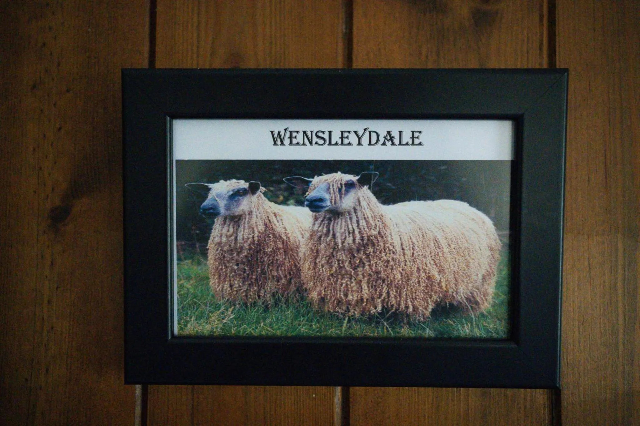 The Shepherds Inn, Langwathby