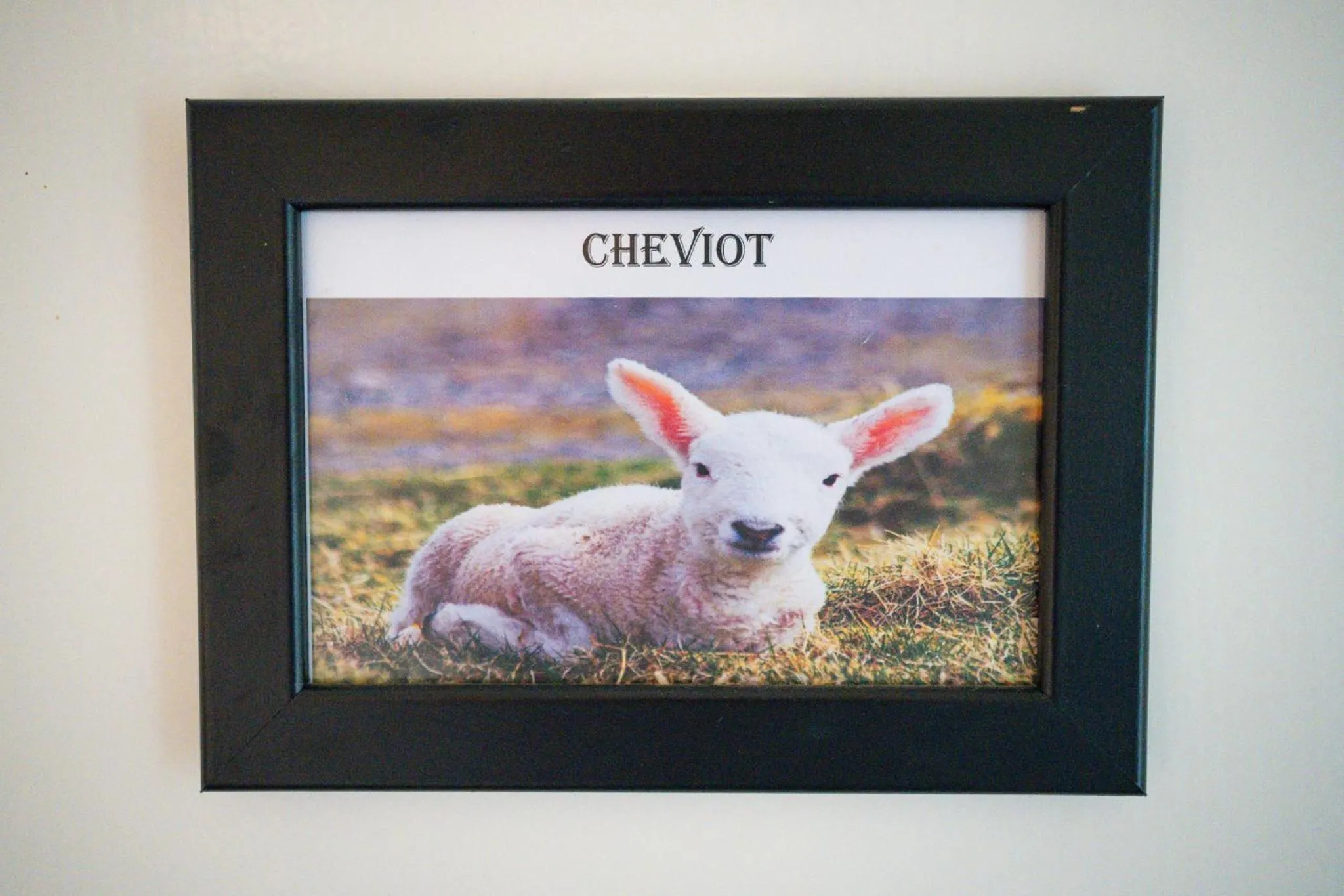 The Shepherds Inn, Langwathby