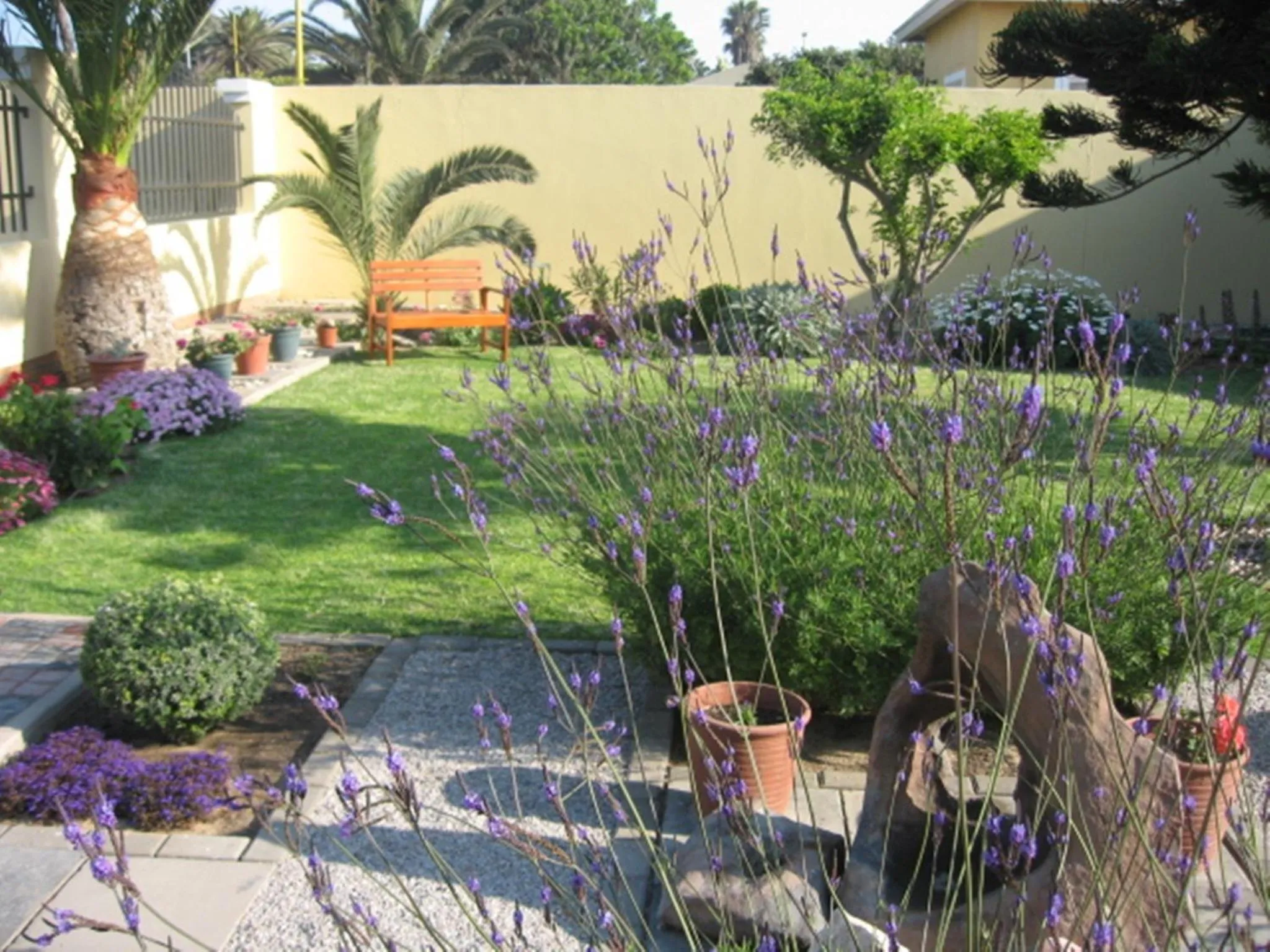Garden in Cornerstone Guesthouse