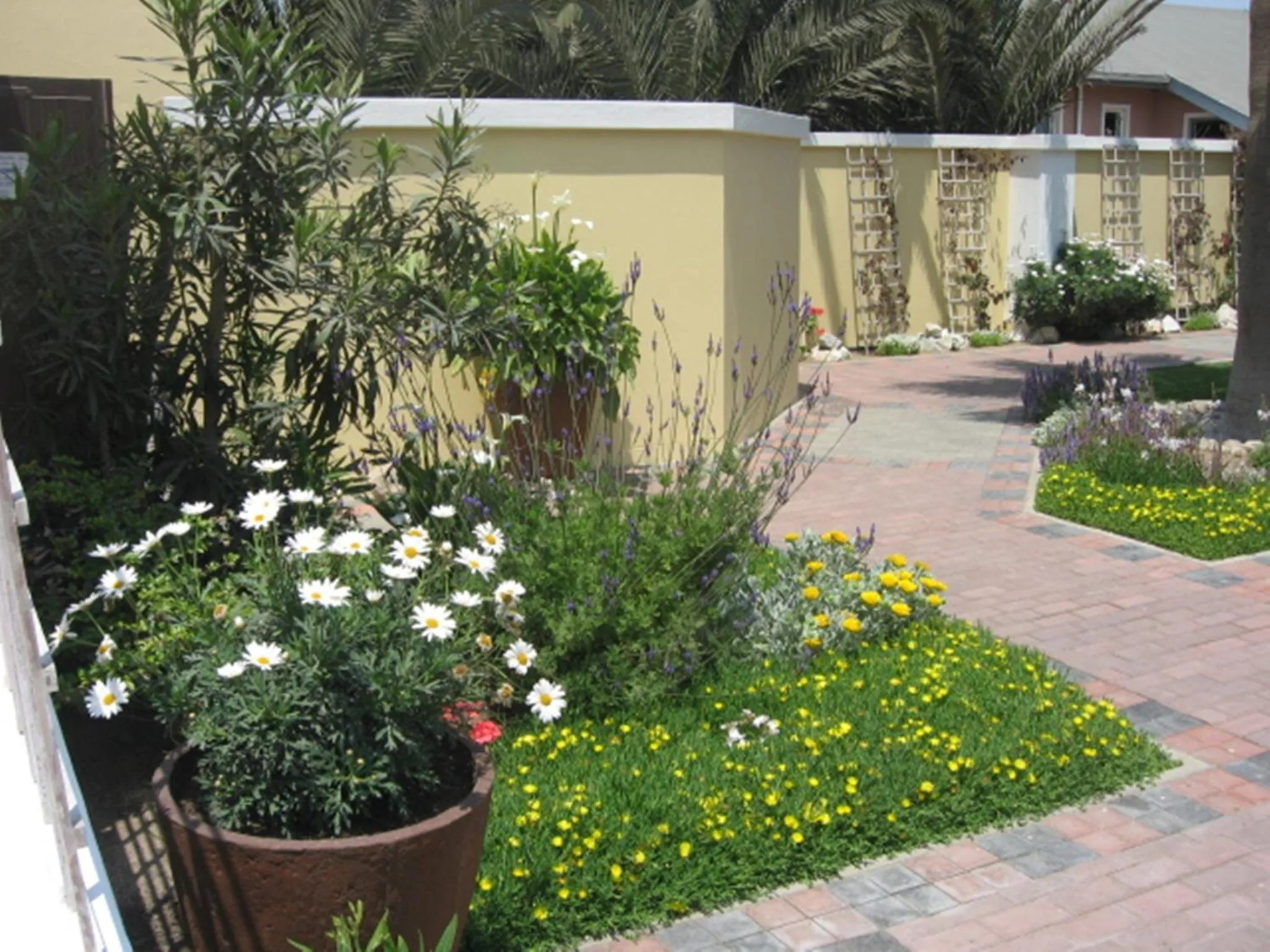 Garden in Cornerstone Guesthouse
