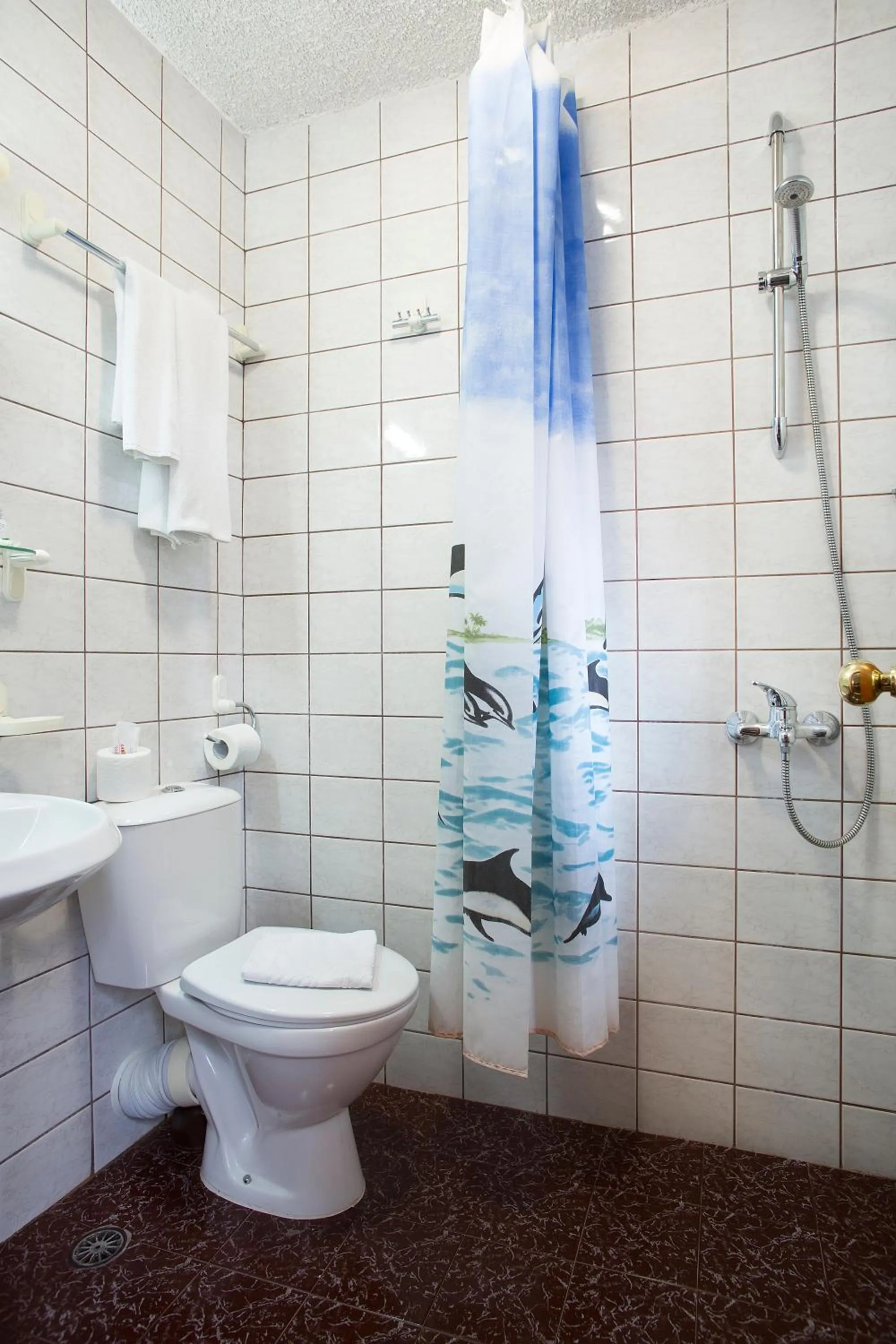 Bathroom in Victoria Hotel Borovets - Free Parking