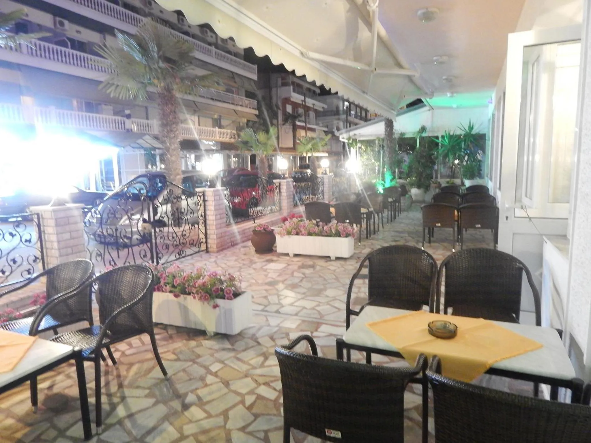 Garden in Gold Stern