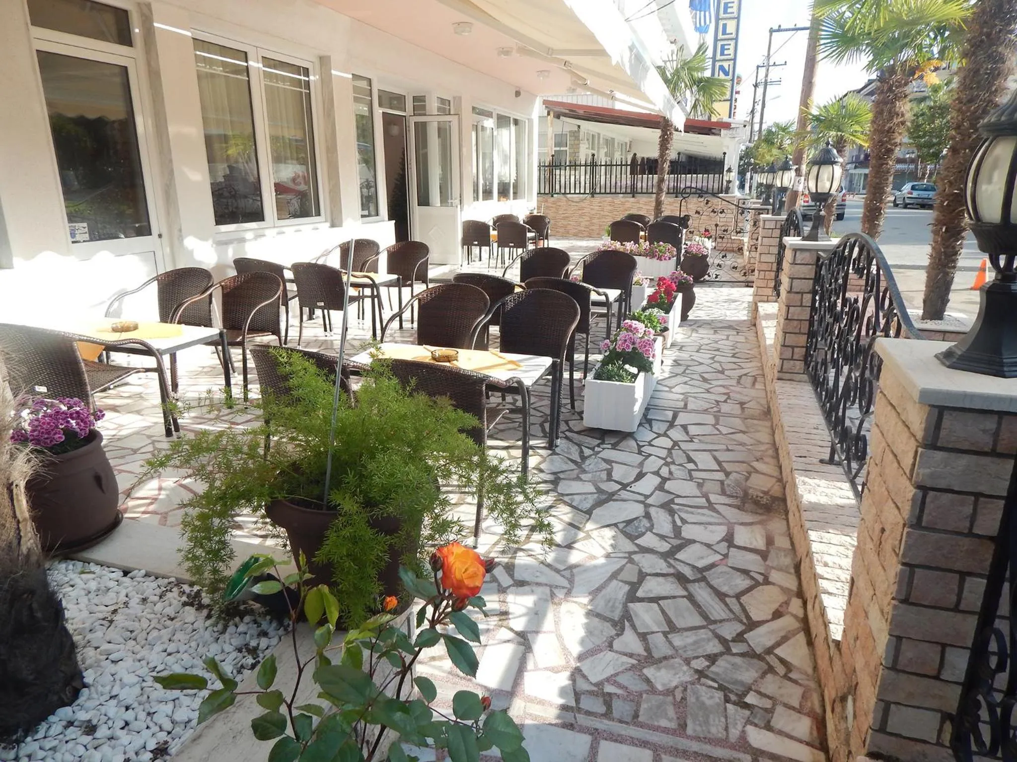 Garden in Gold Stern