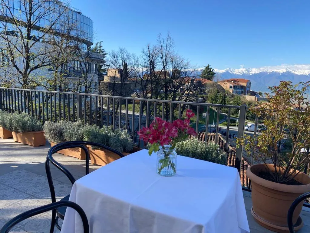 Balcony/Terrace in Hotel Tela & Mareli Winery