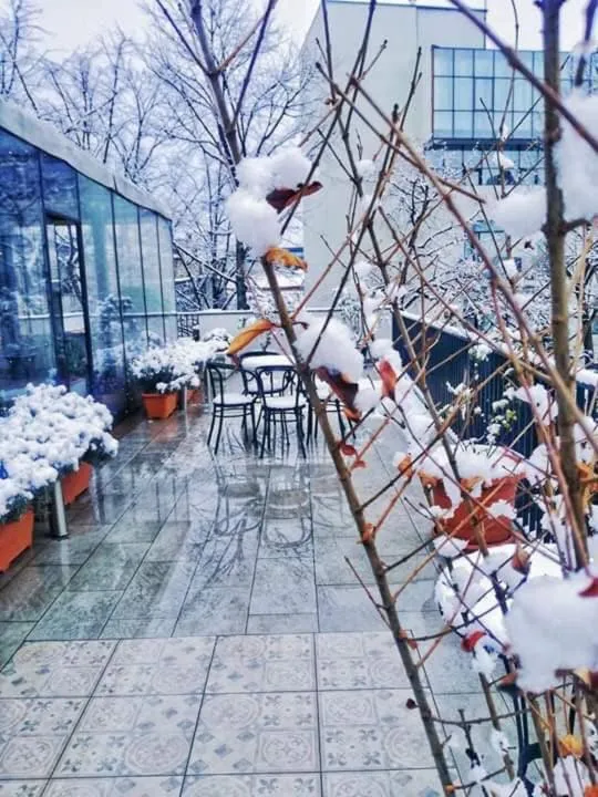 Balcony/Terrace in Hotel Tela & Mareli Winery
