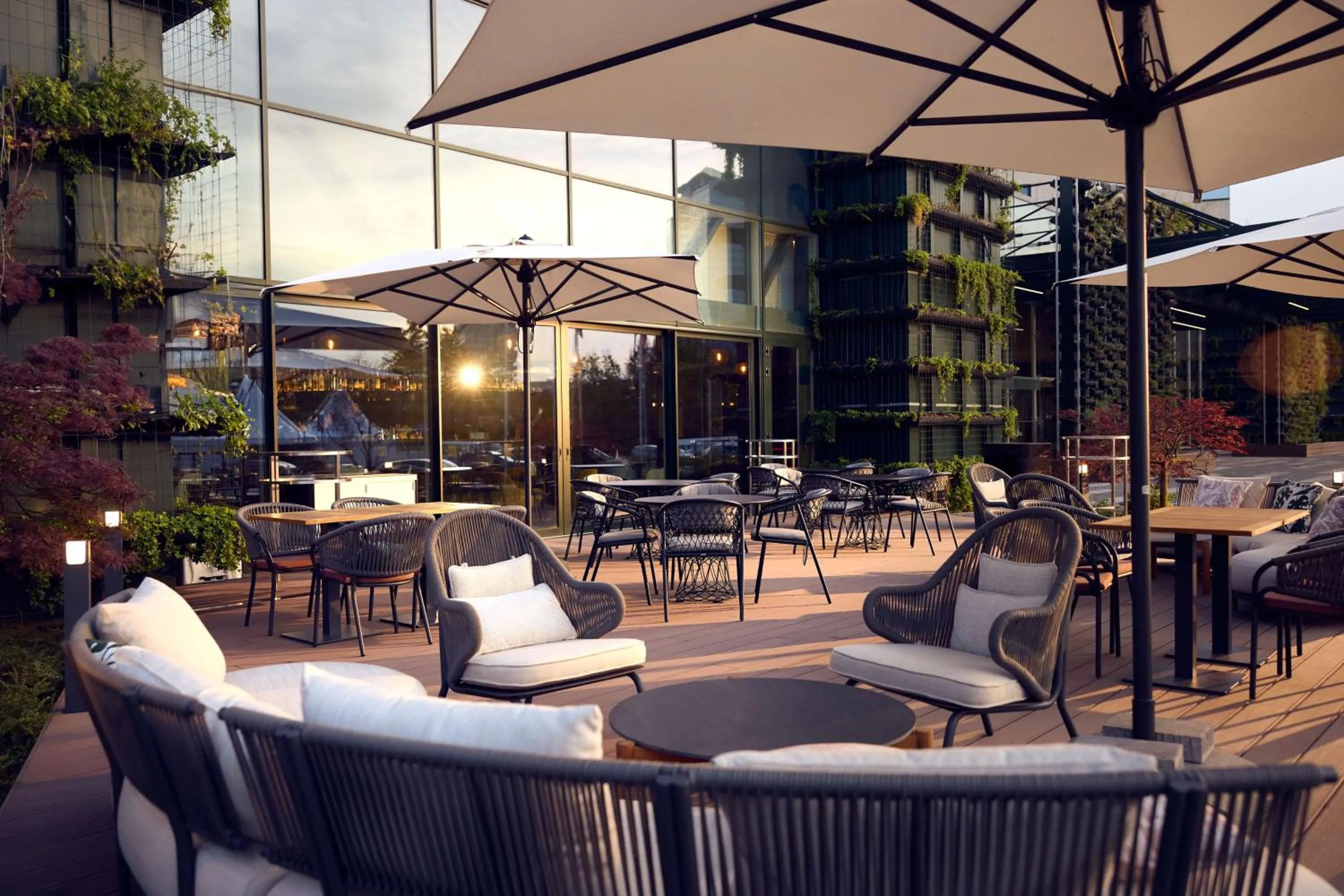 Restaurant/places to eat in Hilton Sofia