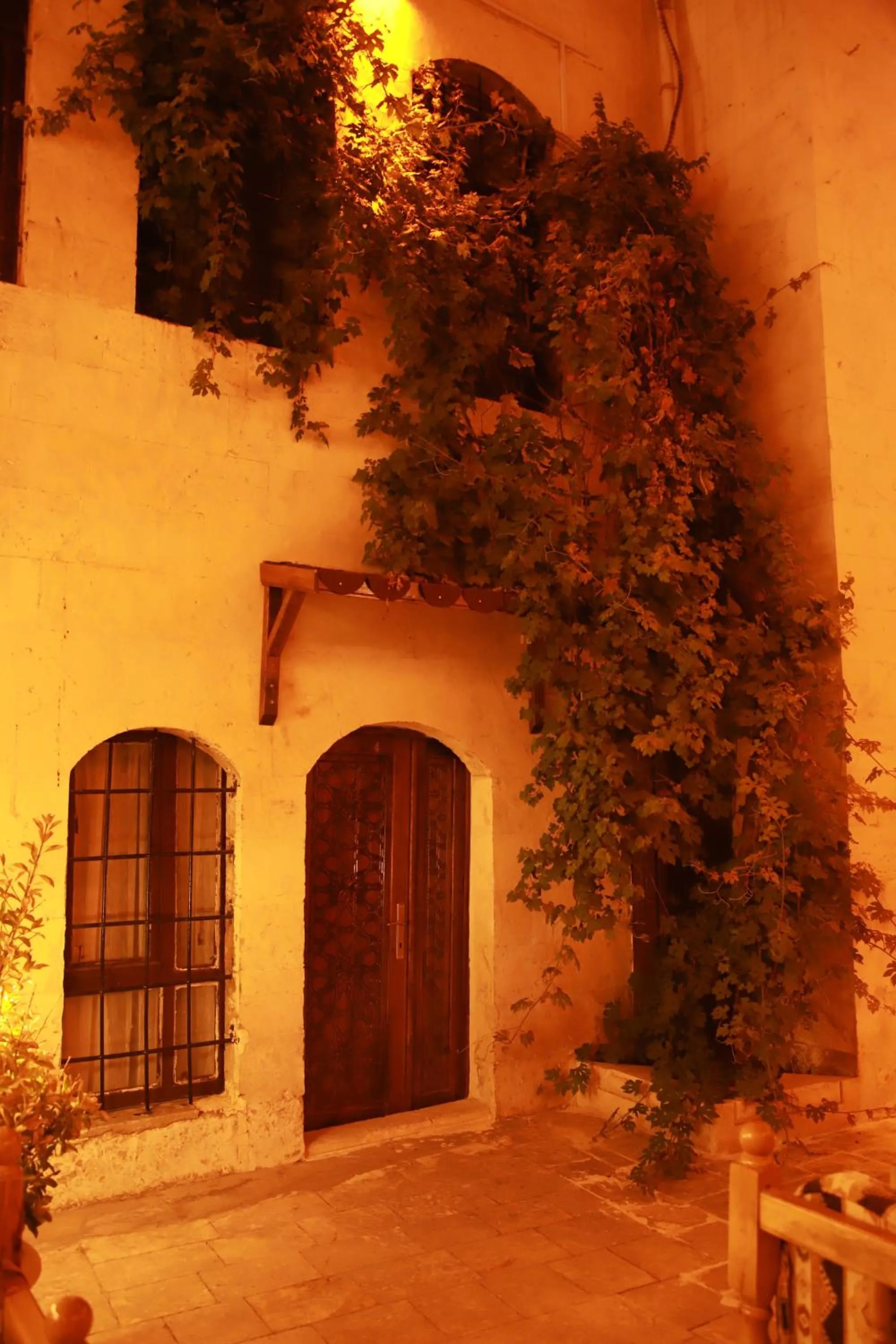 Garden view in Aslan Guest House