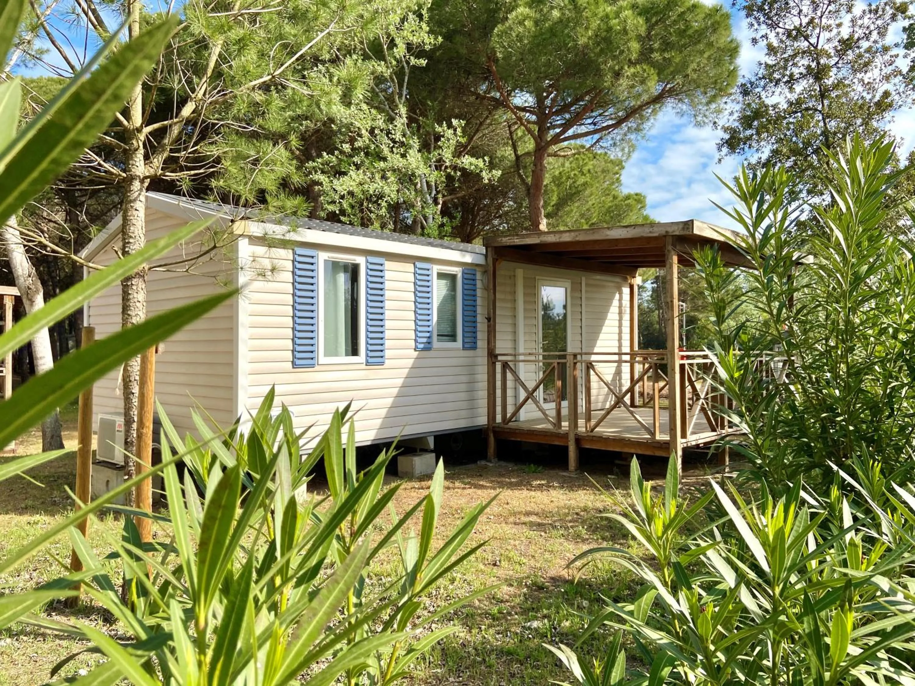 Property building in Club del Sole Spina Family Collection