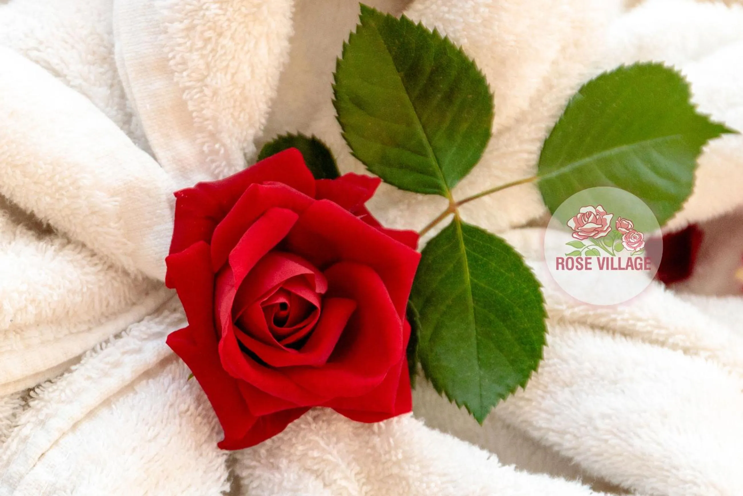 Property building in Apartment Tourist Complex Rose Village