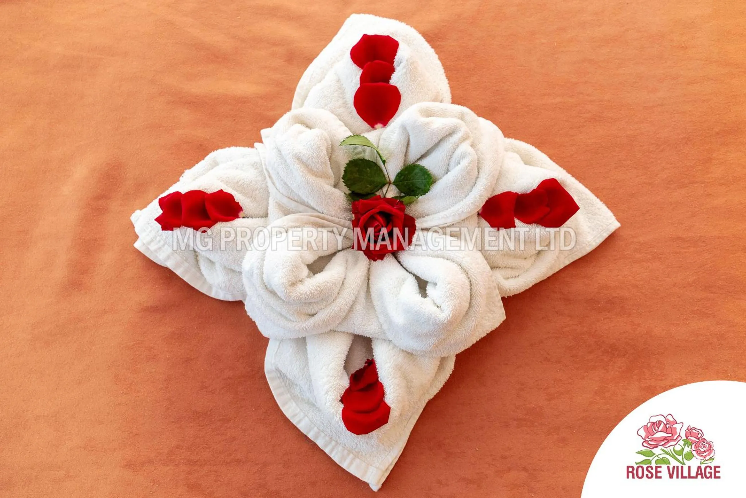 Decorative detail in Apartment Tourist Complex Rose Village