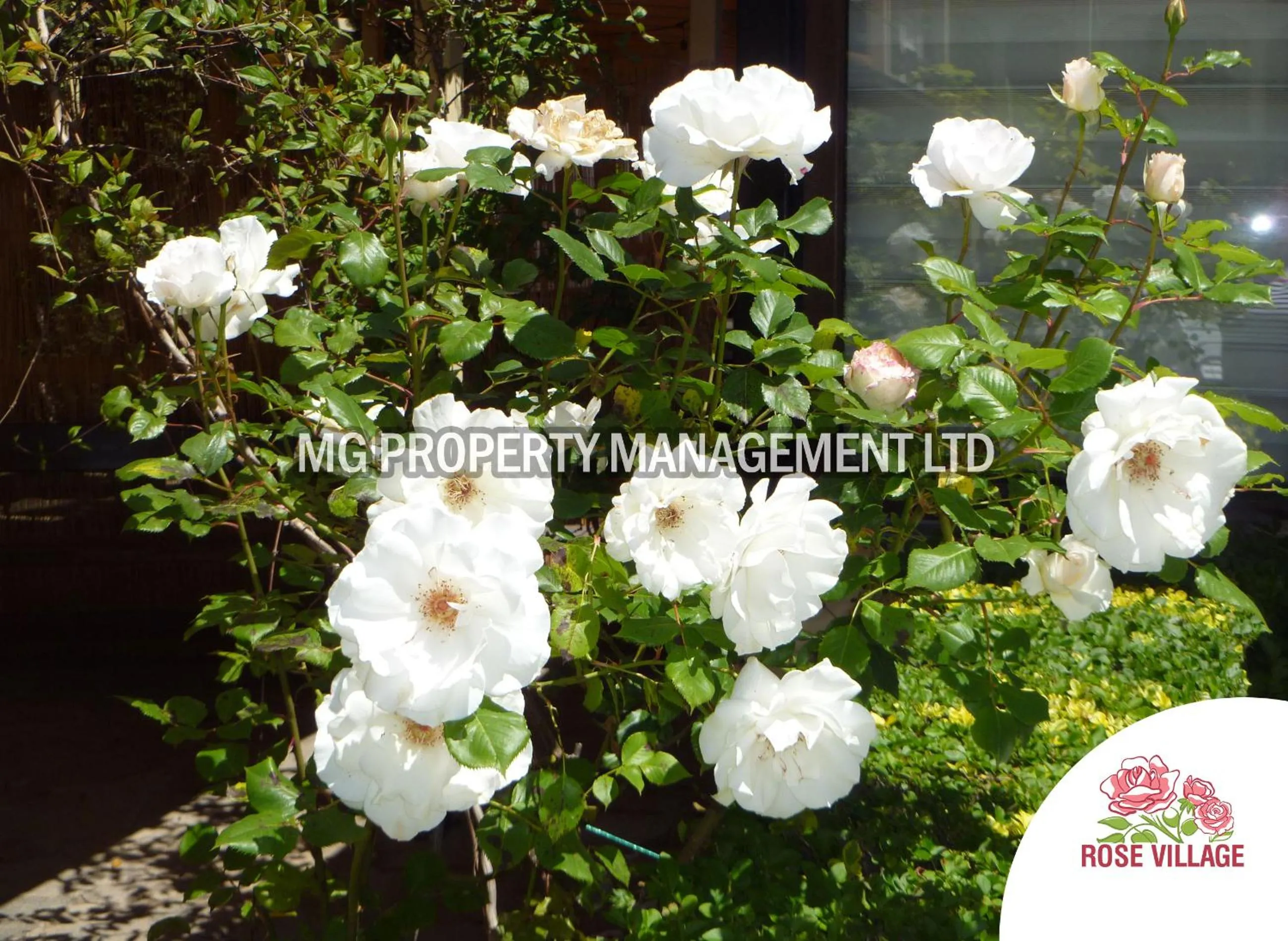 Property building in Apartment Tourist Complex Rose Village