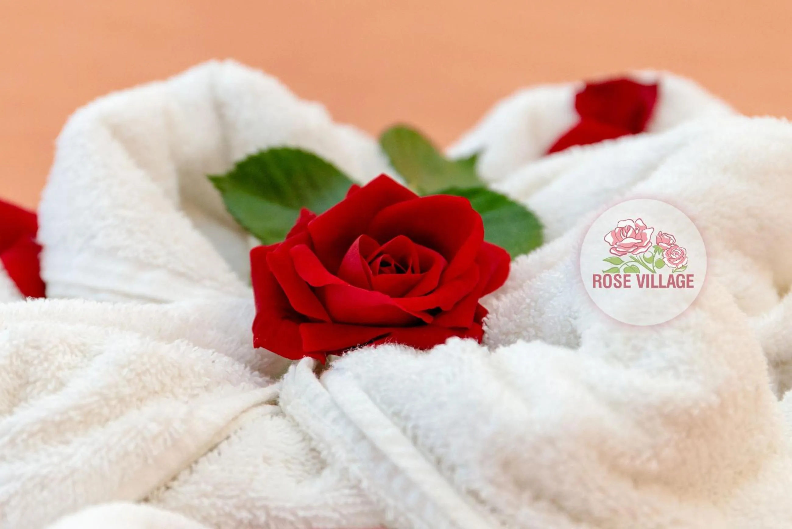 towels in Apartment Tourist Complex Rose Village