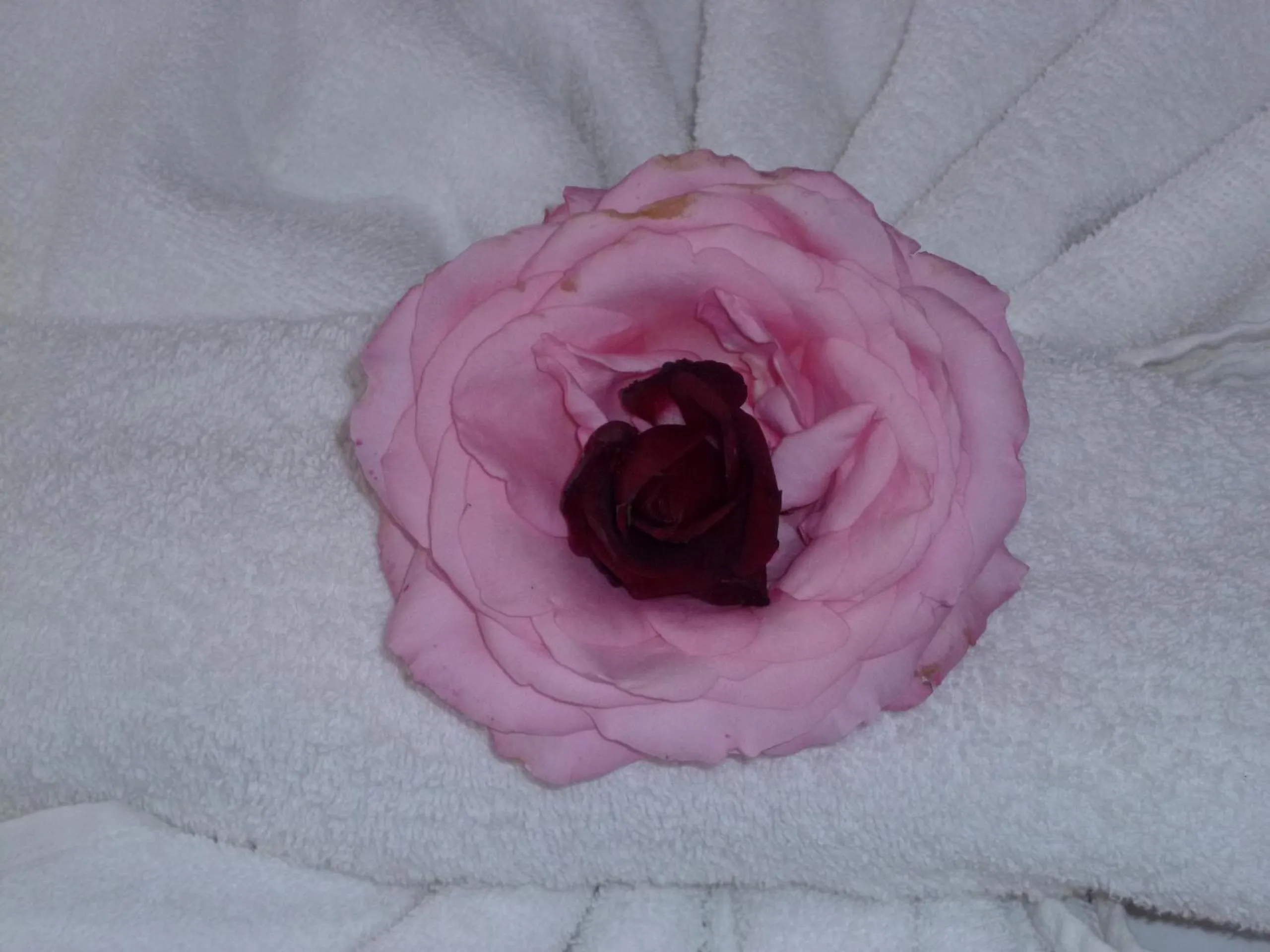 Property building in Apartment Tourist Complex Rose Village