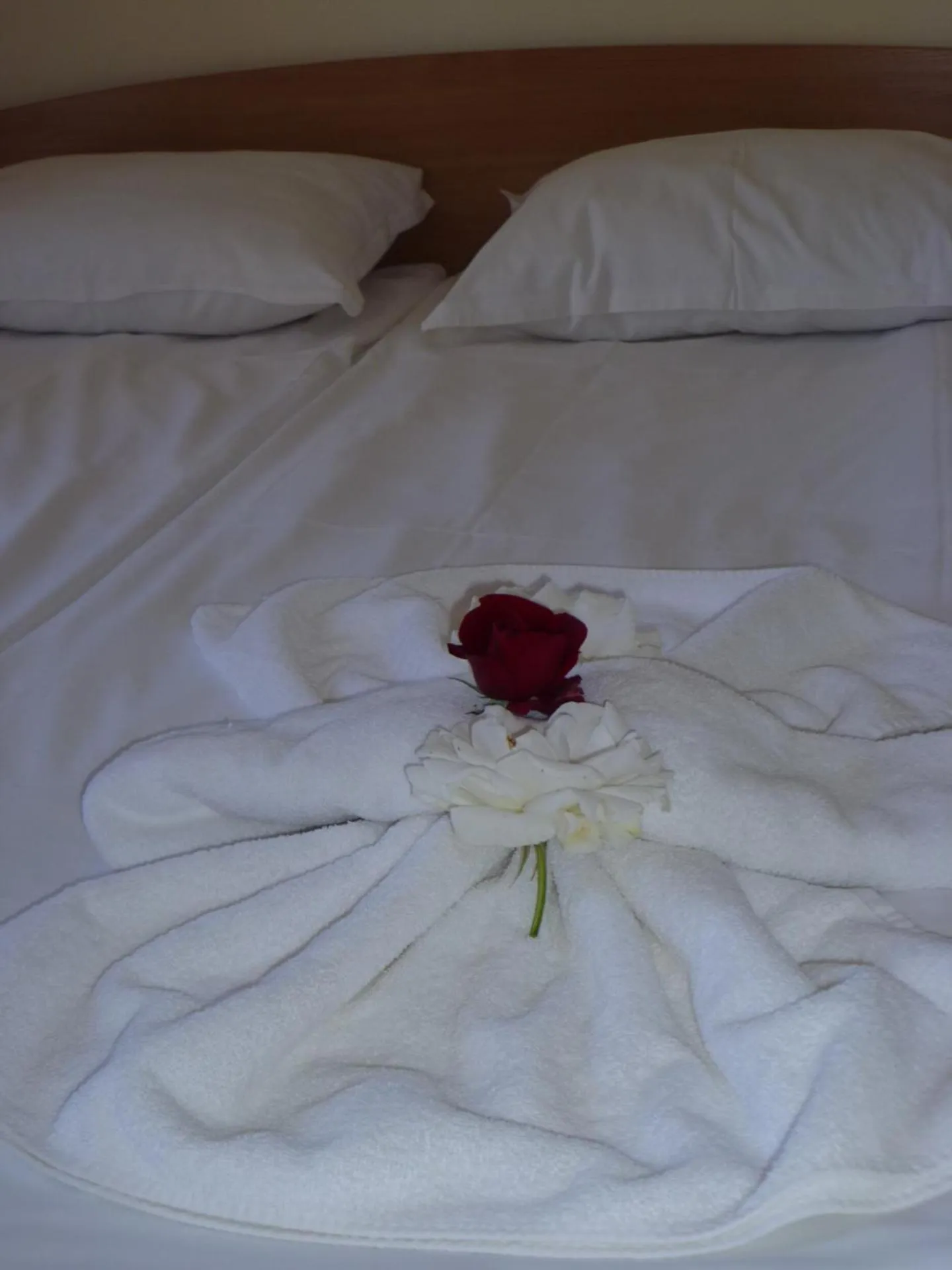 Photo of the whole room, Bed in Apartment Tourist Complex Rose Village