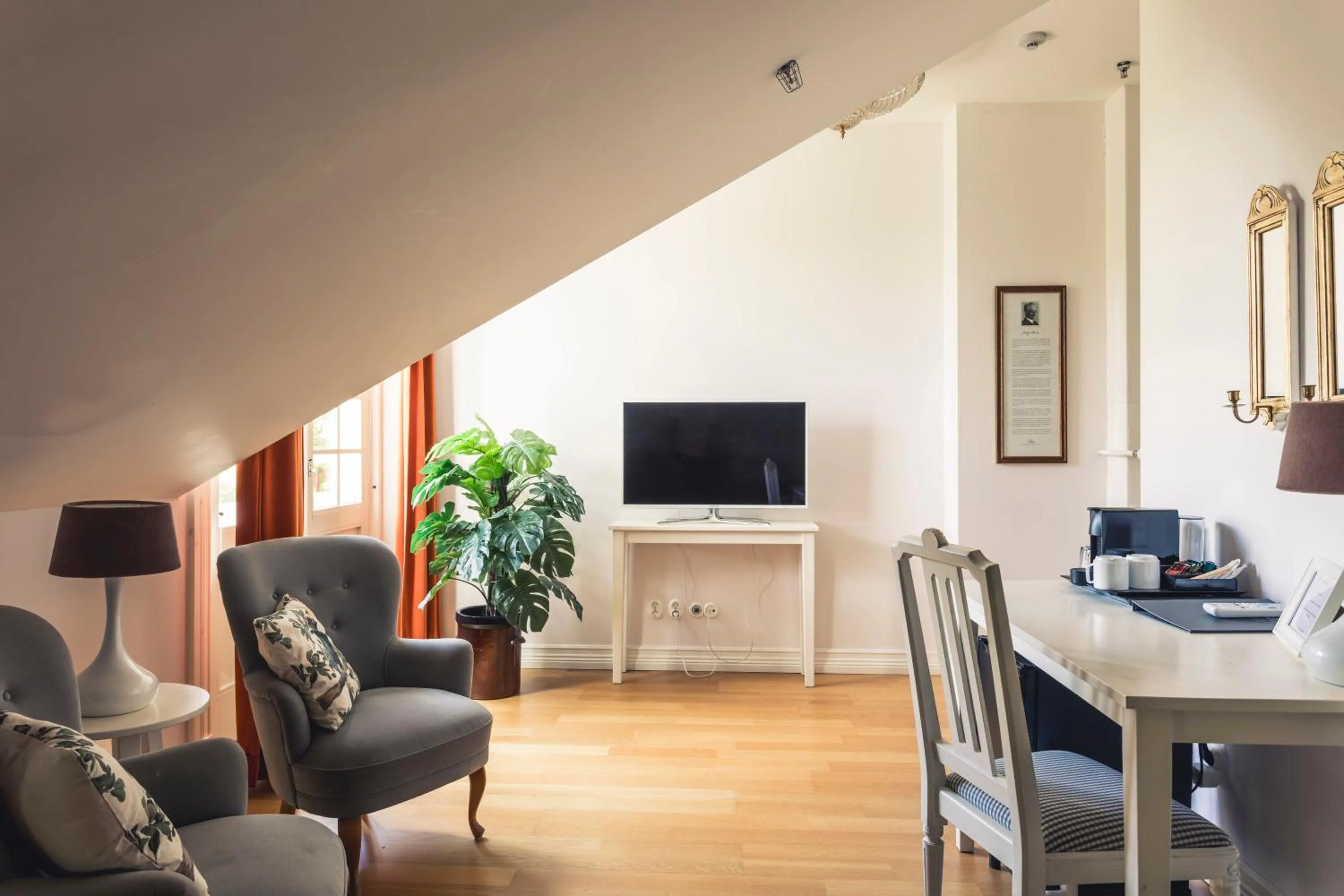 TV and multimedia in Mössebergs Kurort