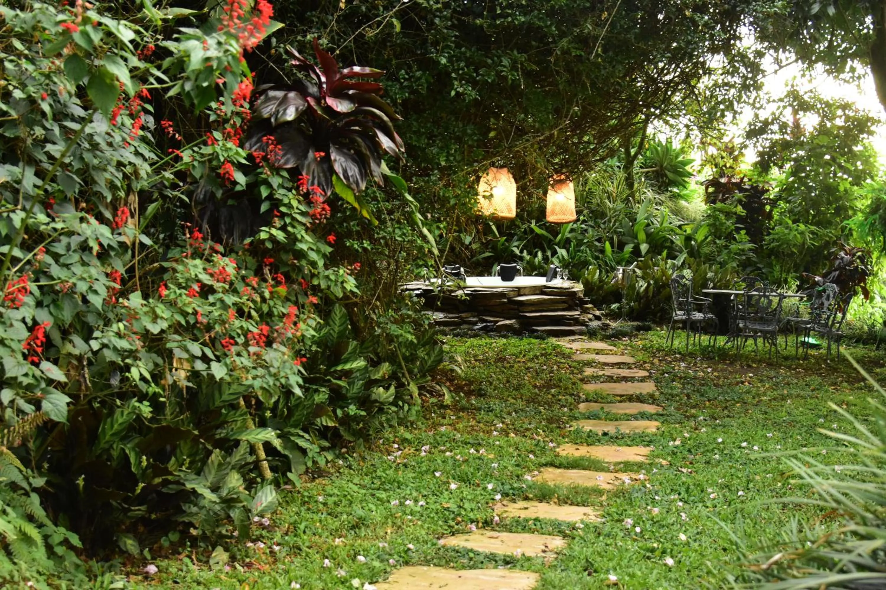 Natural landscape in Finca Hotel Los Girasoles