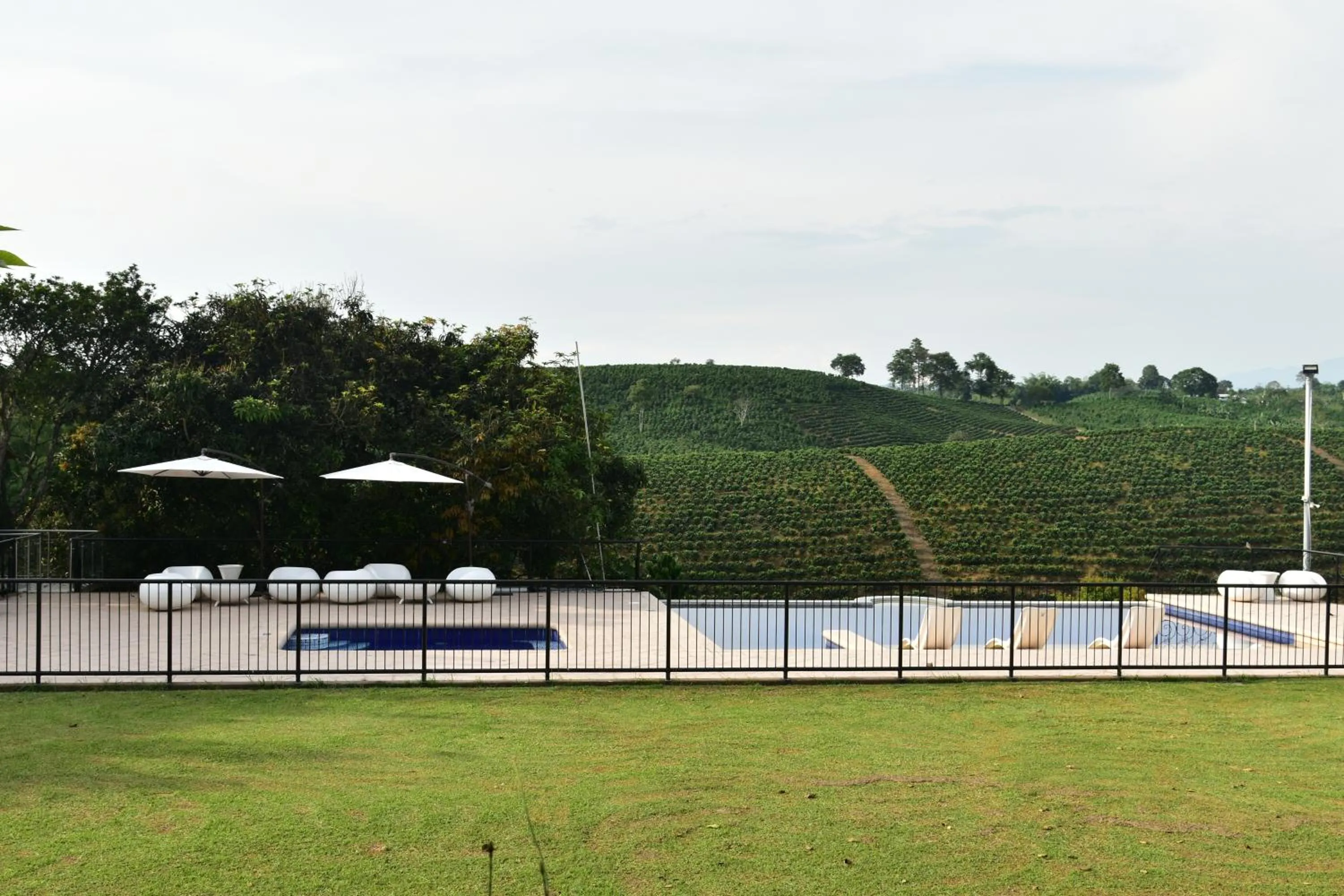 Natural landscape in Finca Hotel Los Girasoles