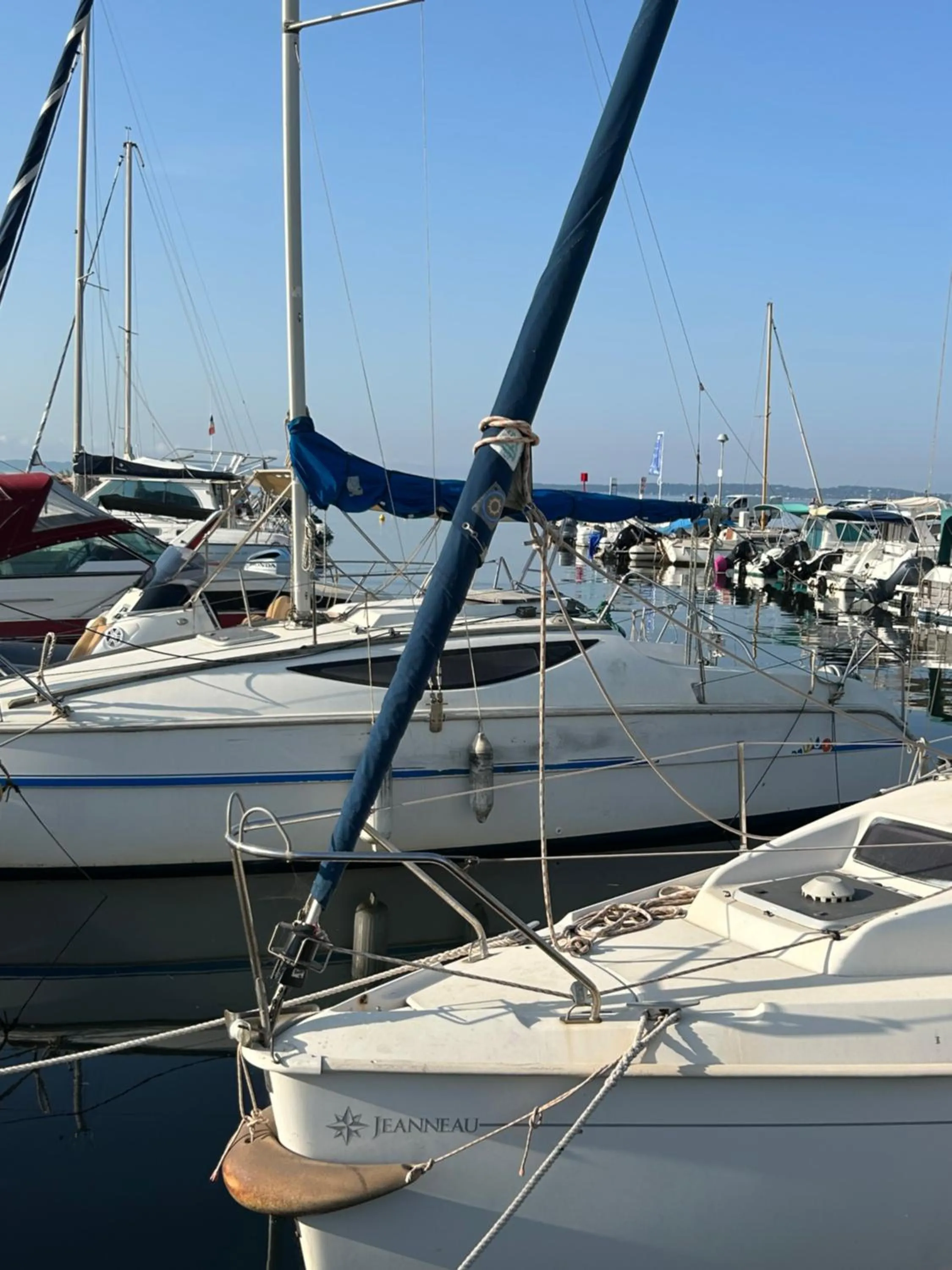 Hôtel La Reine Jane