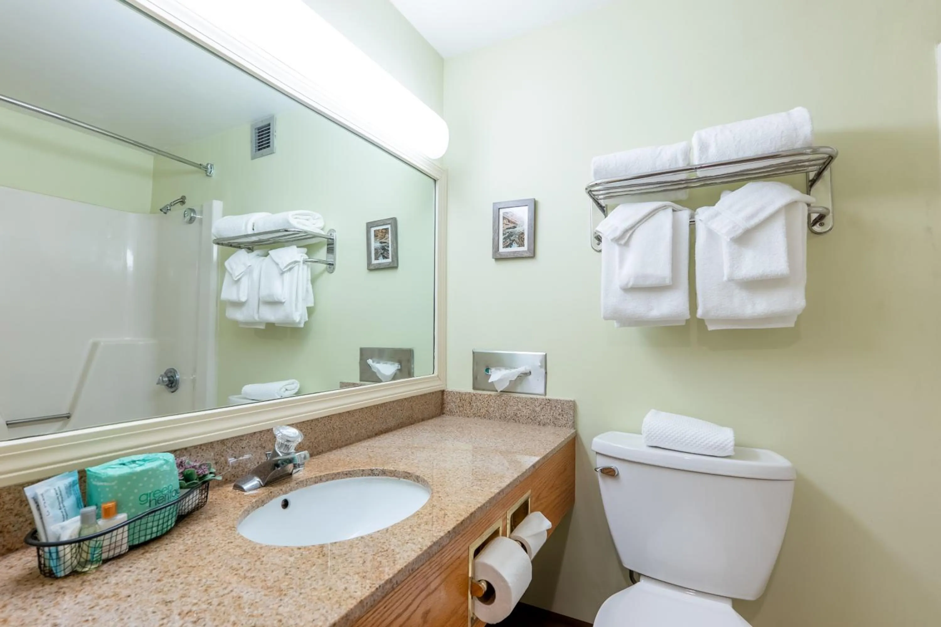 Bathroom in Fireside Inn & Suites West Lebanon