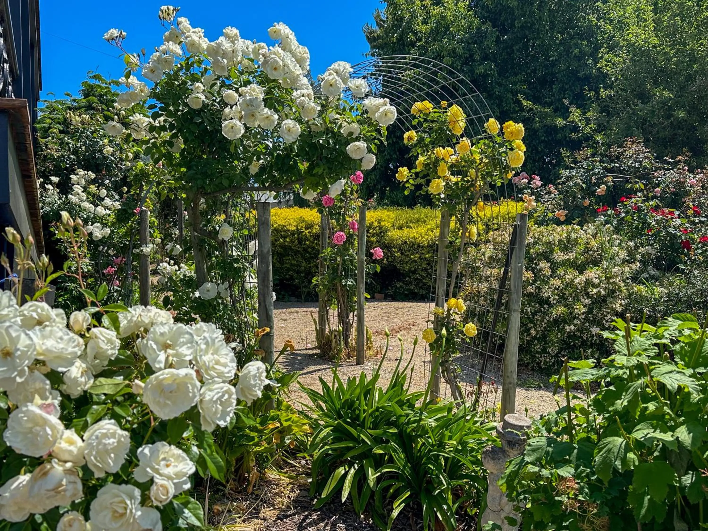 Garden in The Dragonfly Inn