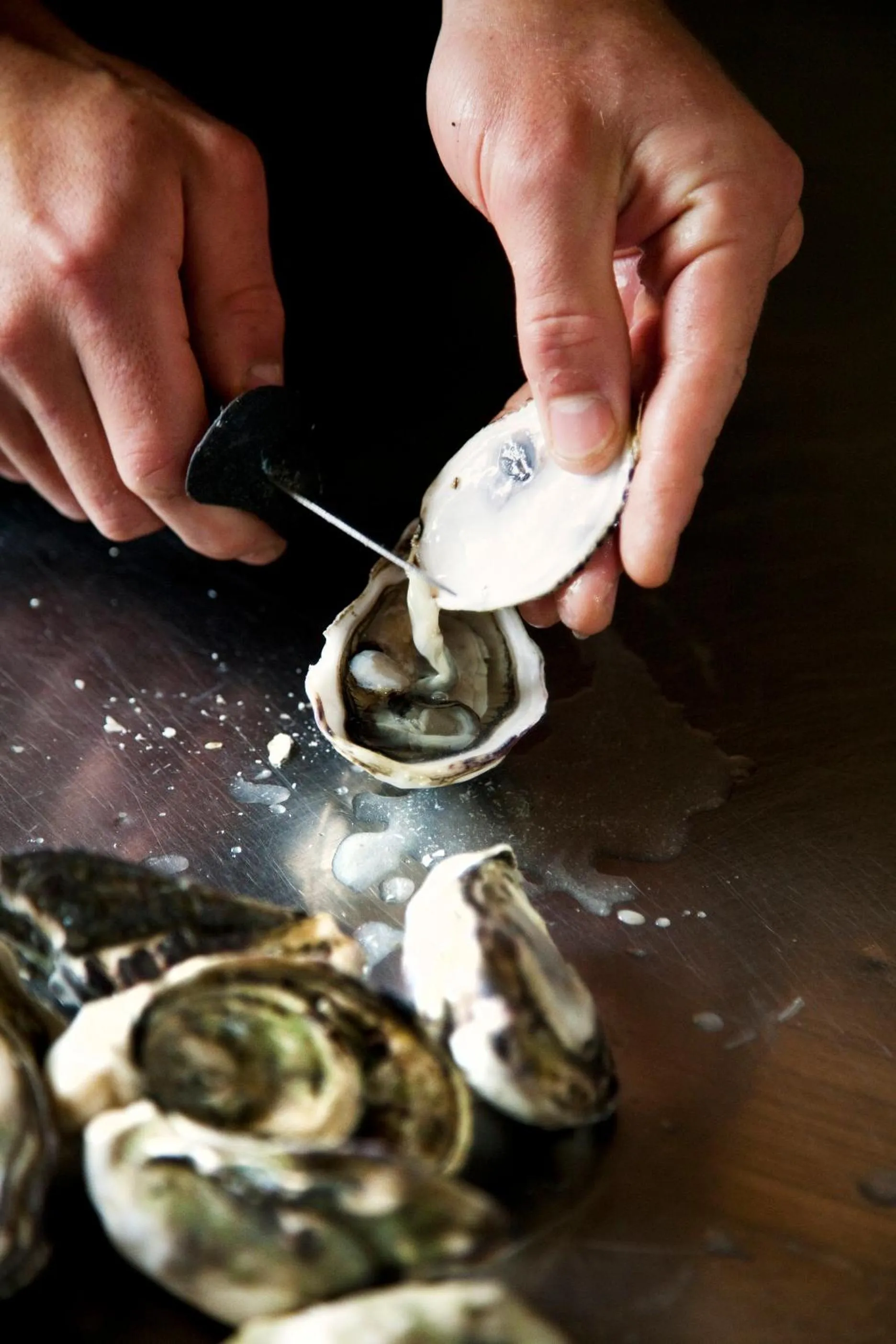 Restaurant/places to eat in Bruny Island Escapes and Hotel Bruny