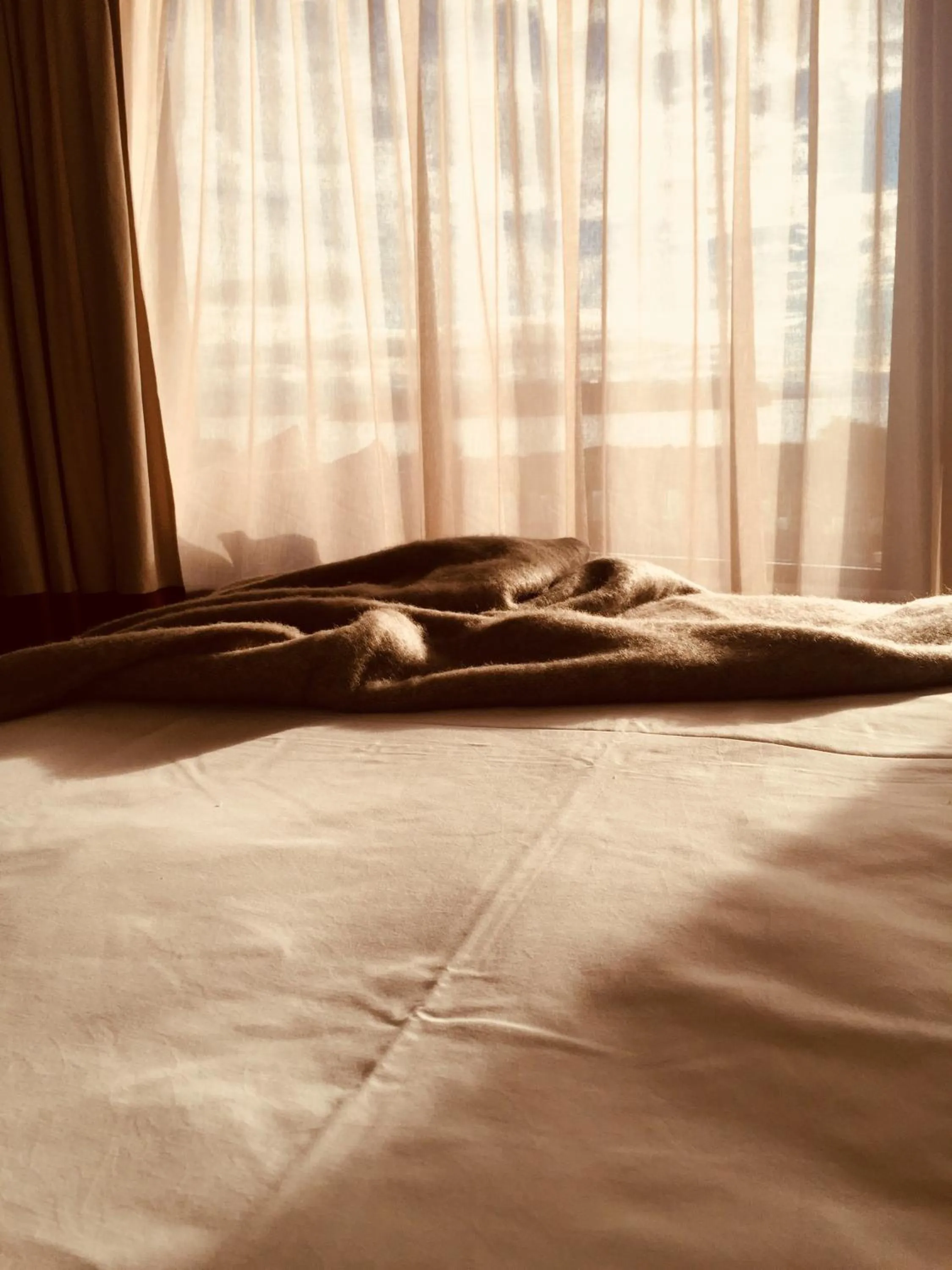 Bed in Bruny Island Escapes and Hotel Bruny