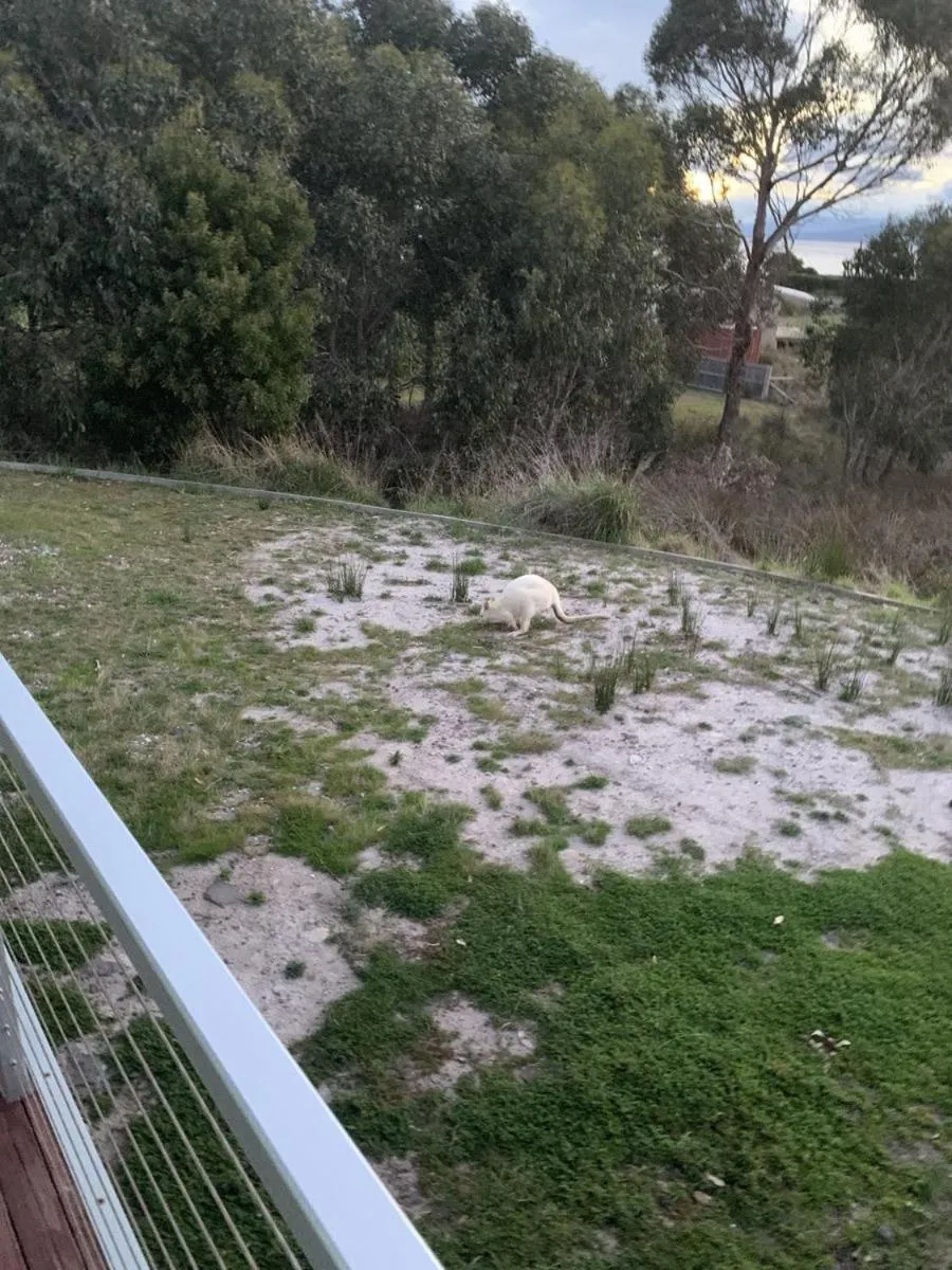 Bruny Island Escapes and Hotel Bruny